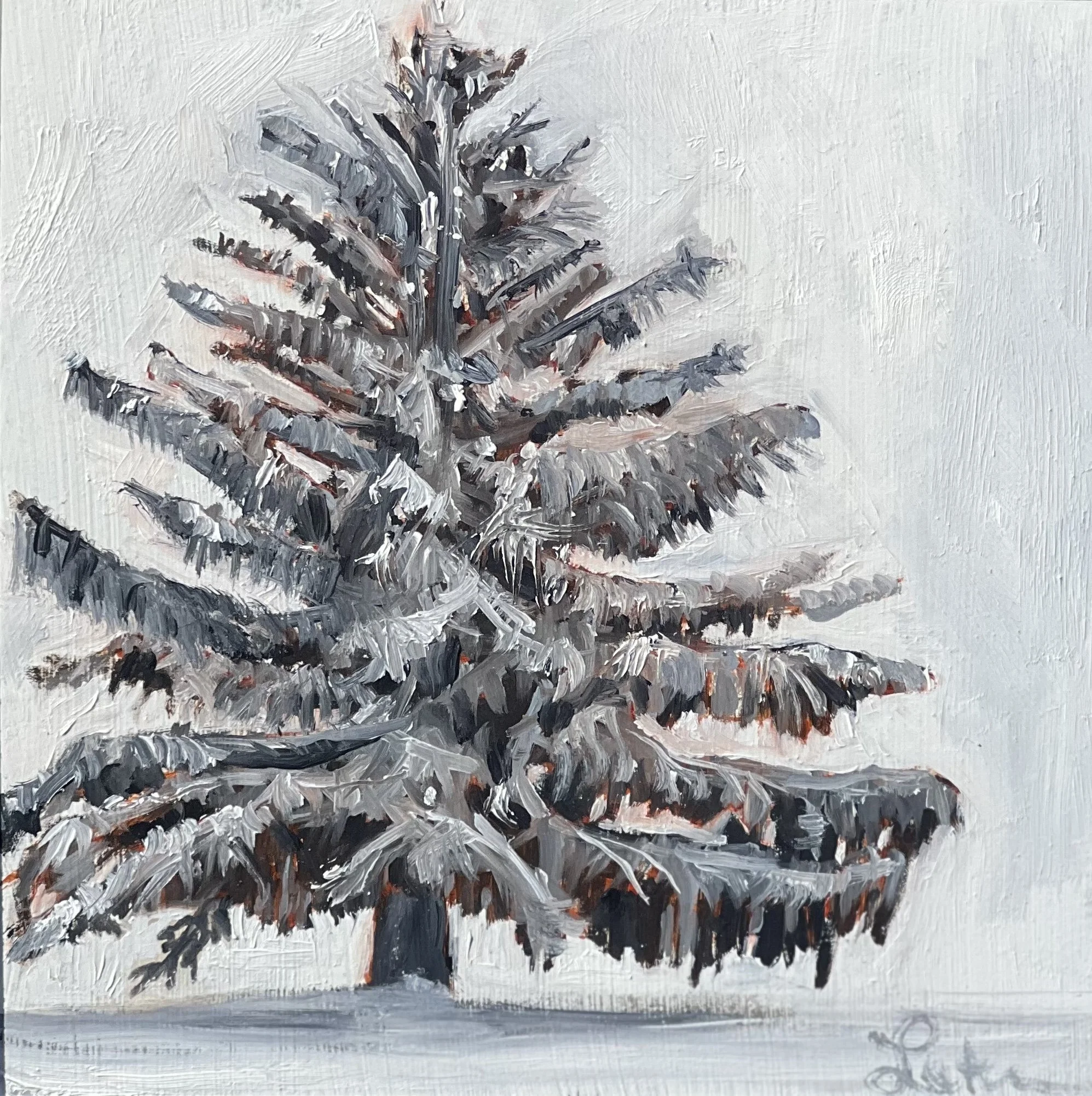 Hazy Shades of Winter