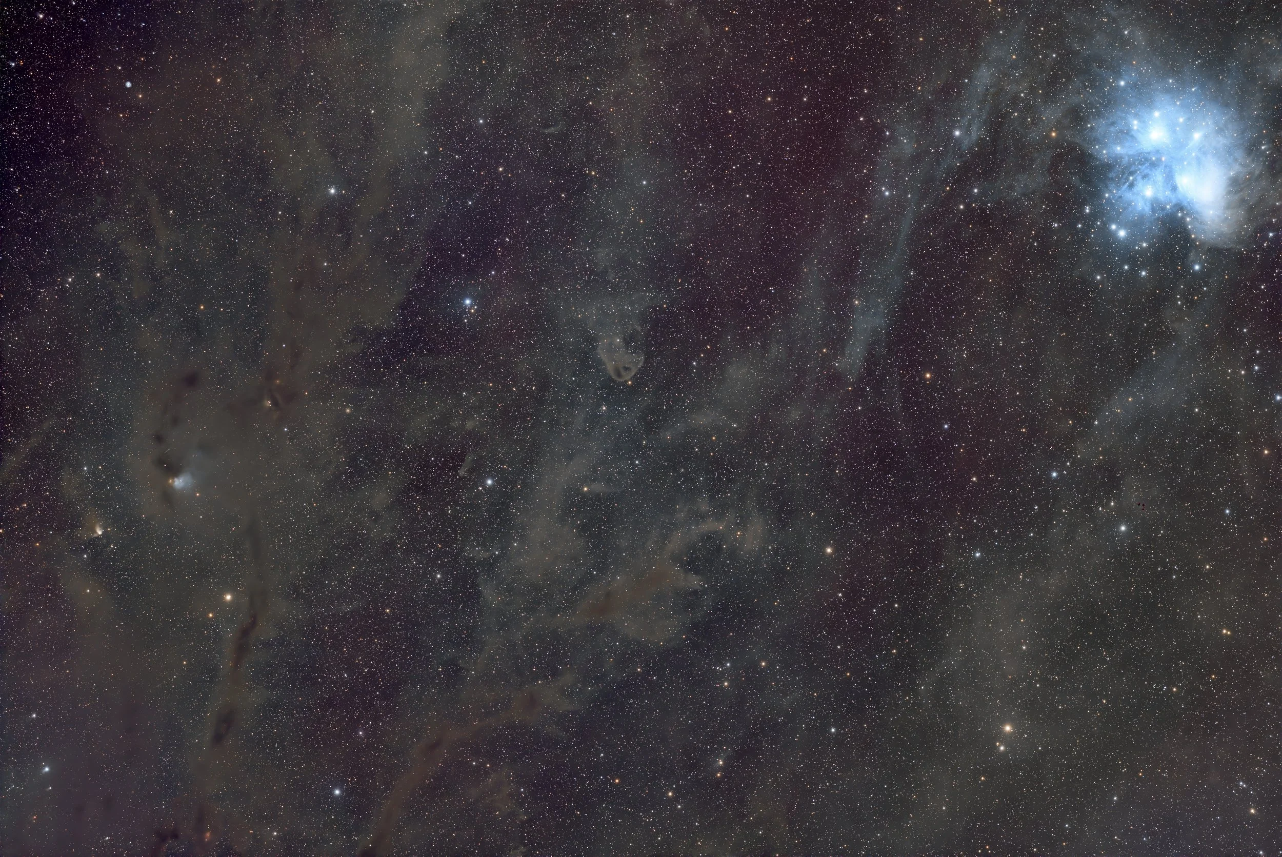 LDN 775 Rok 135 DTD Final.jpg