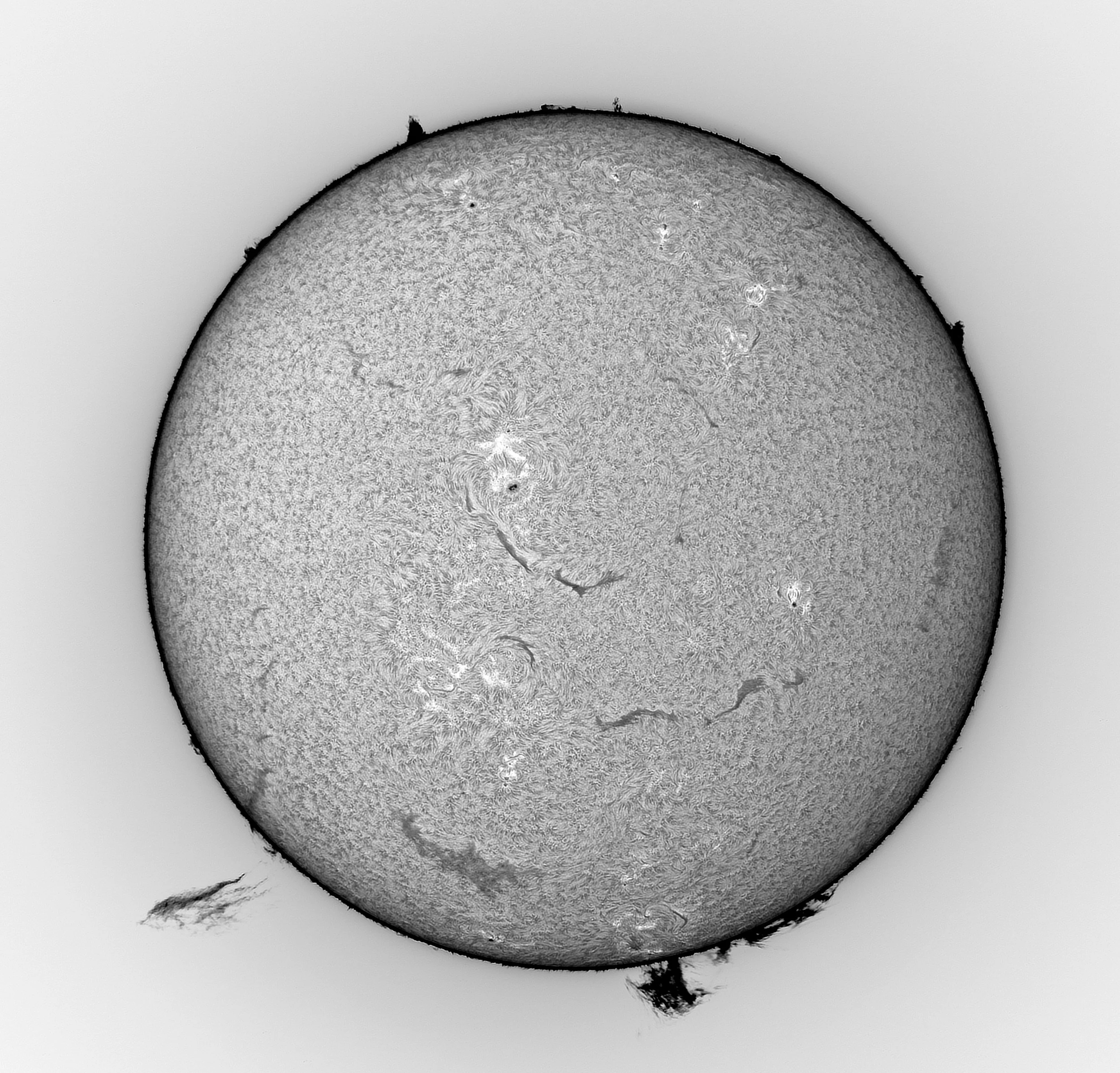 SUN Max Inverted 428 June 29 2025.jpg