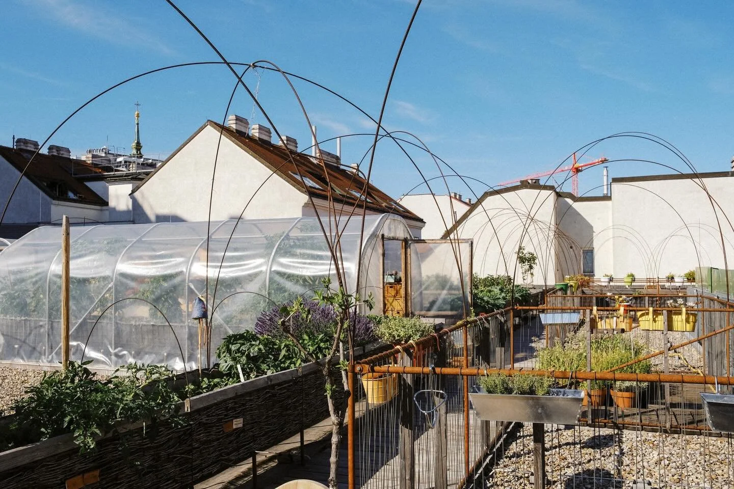 Gartenwerkstadt @gartenwerkstadt

Solche Projekte zeigen, wie viele Orte es in der Stadt gibt,
die man im Alltag leicht &uuml;bersieht.

Im Rahmen eines Spaziergangs mit @gbsternwien entstanden.

Wien.

#documentaryphotography #wien #urbanexploration