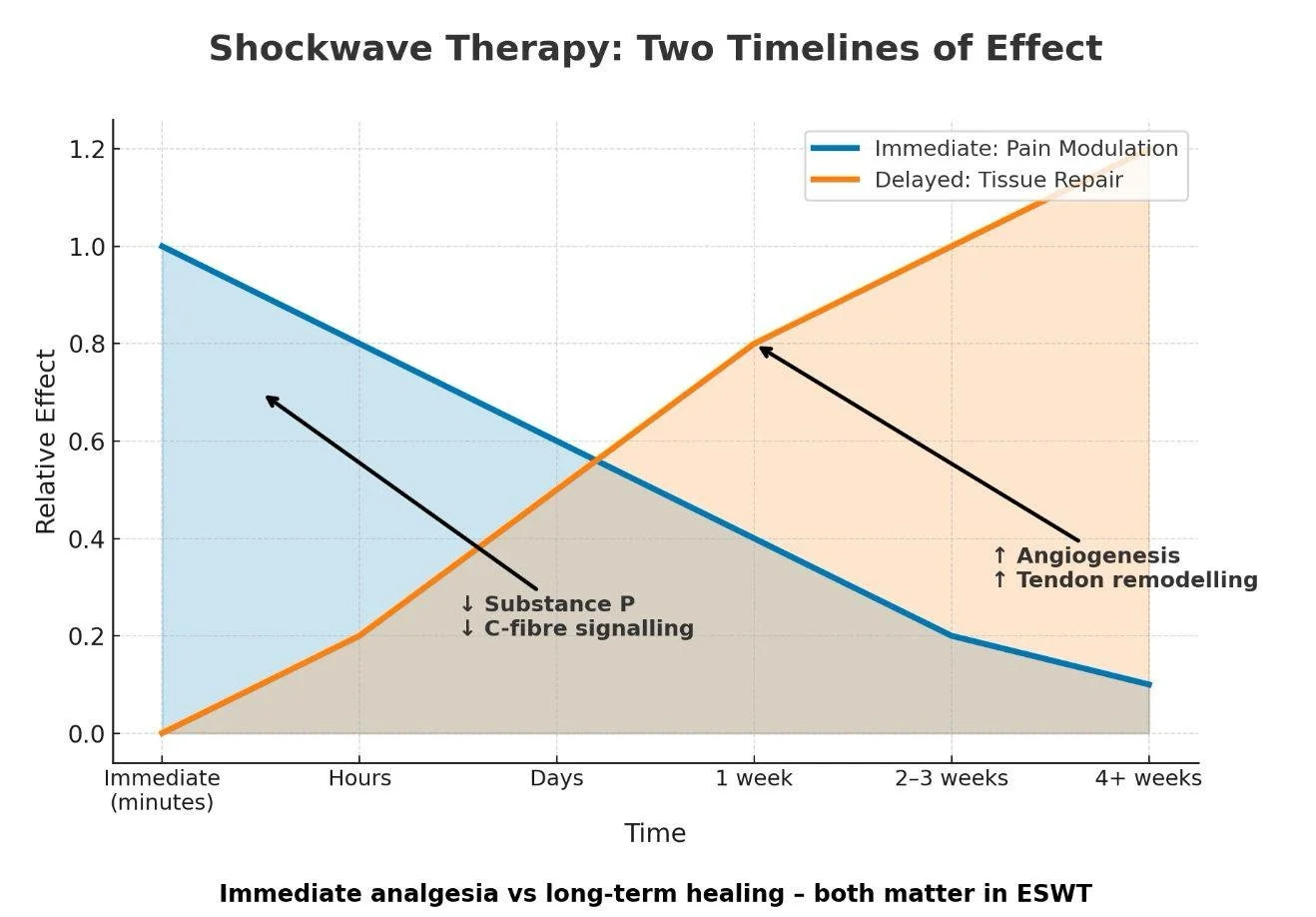 Short and Long-term effects of ESWT