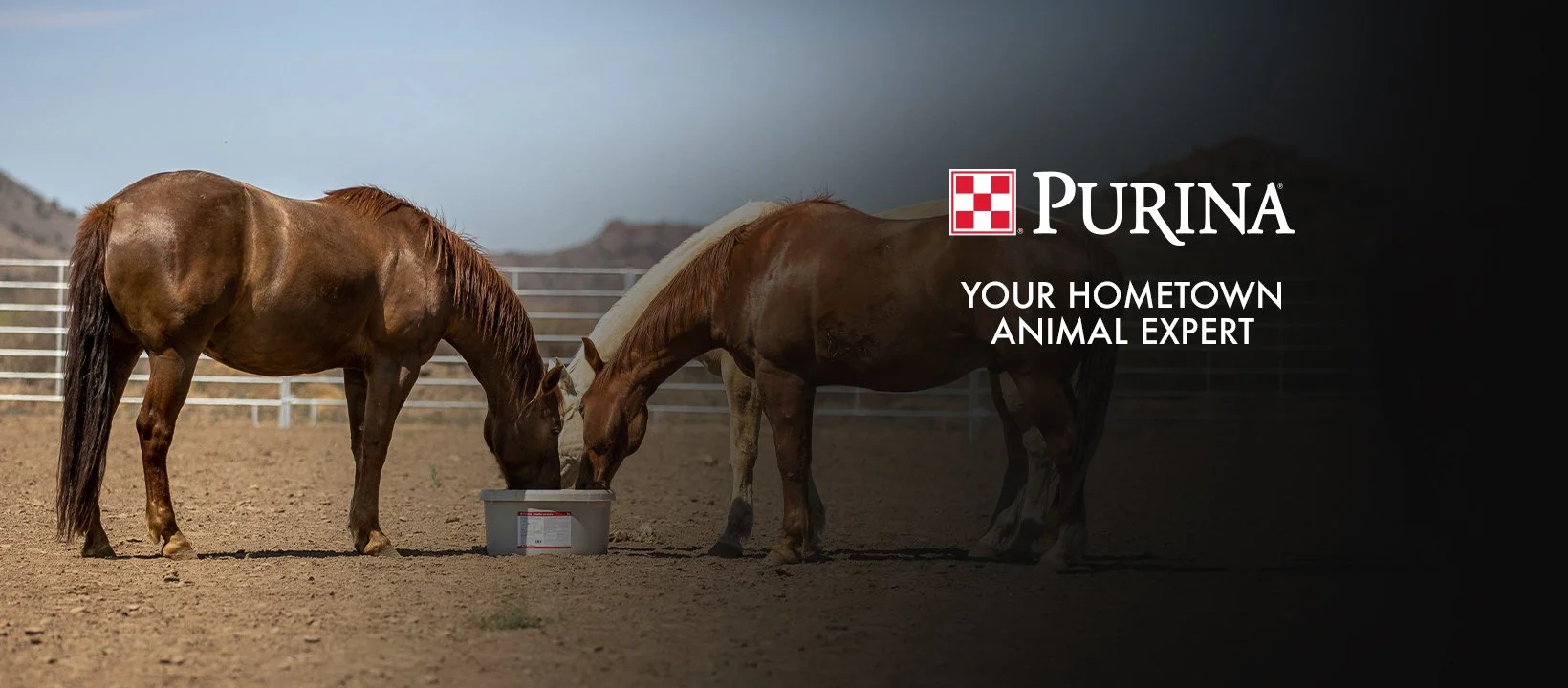 purina.jpg