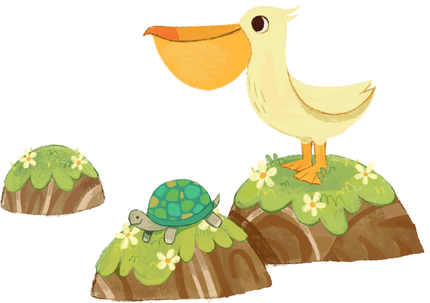 crocodile creek anoosha syed (4).png