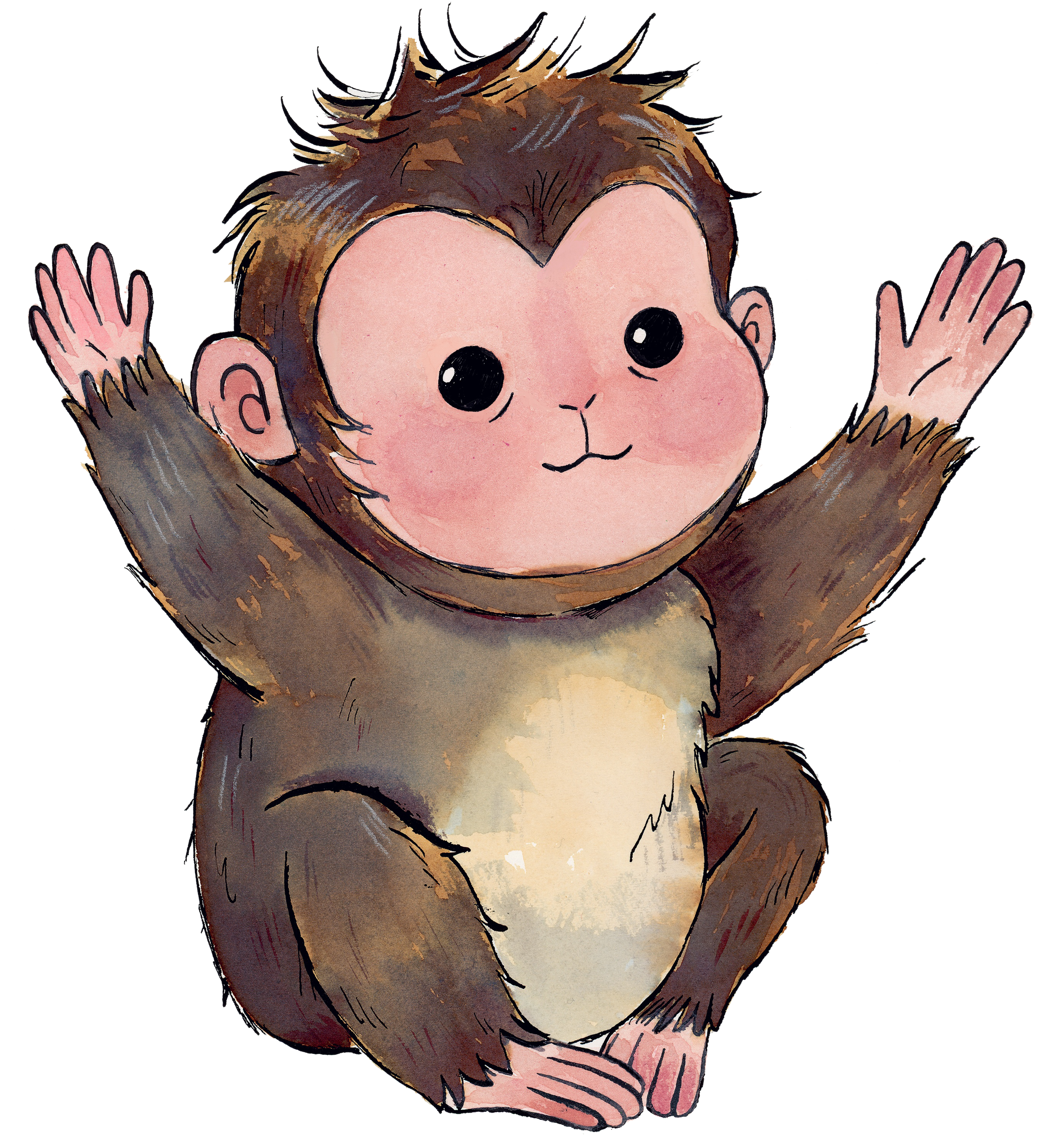 illustration of punch the macaque monkey as a baby, painted with watercolors by Anoosha Syed