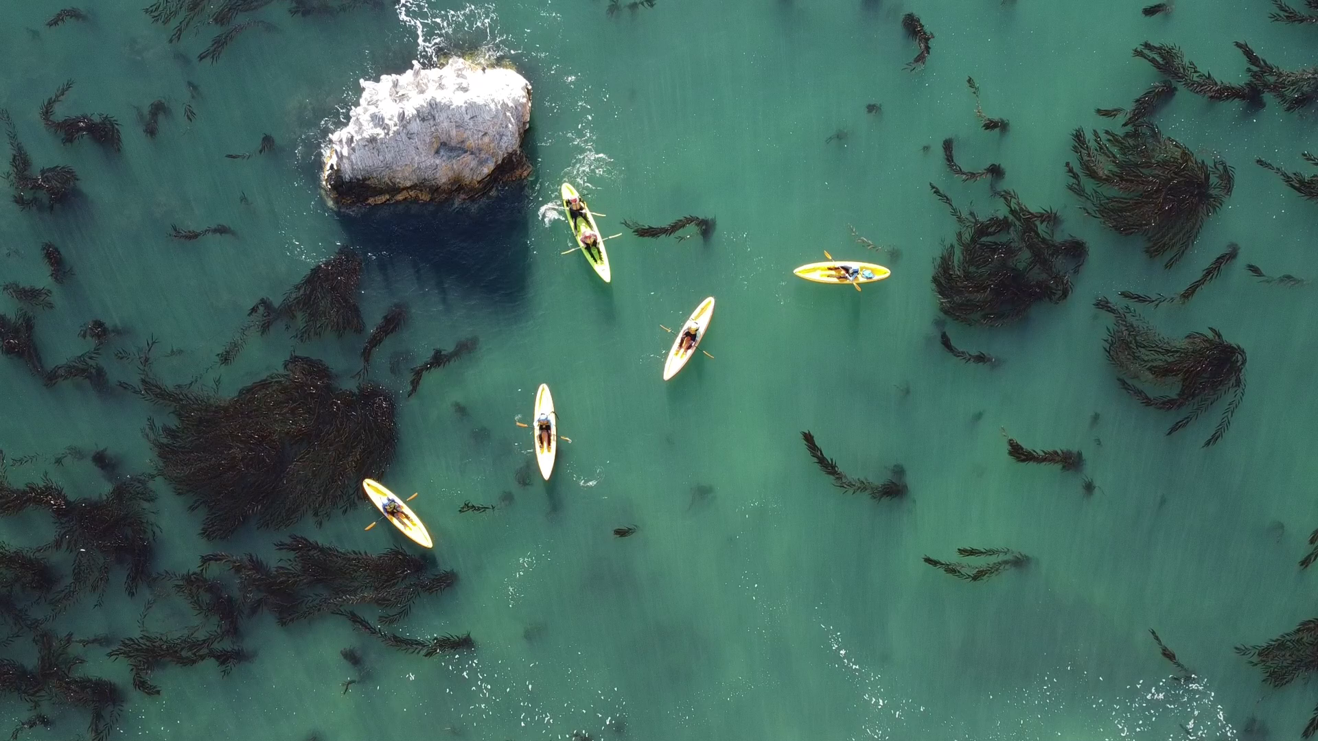 Central Coast Kayaks | Explore & Book Today