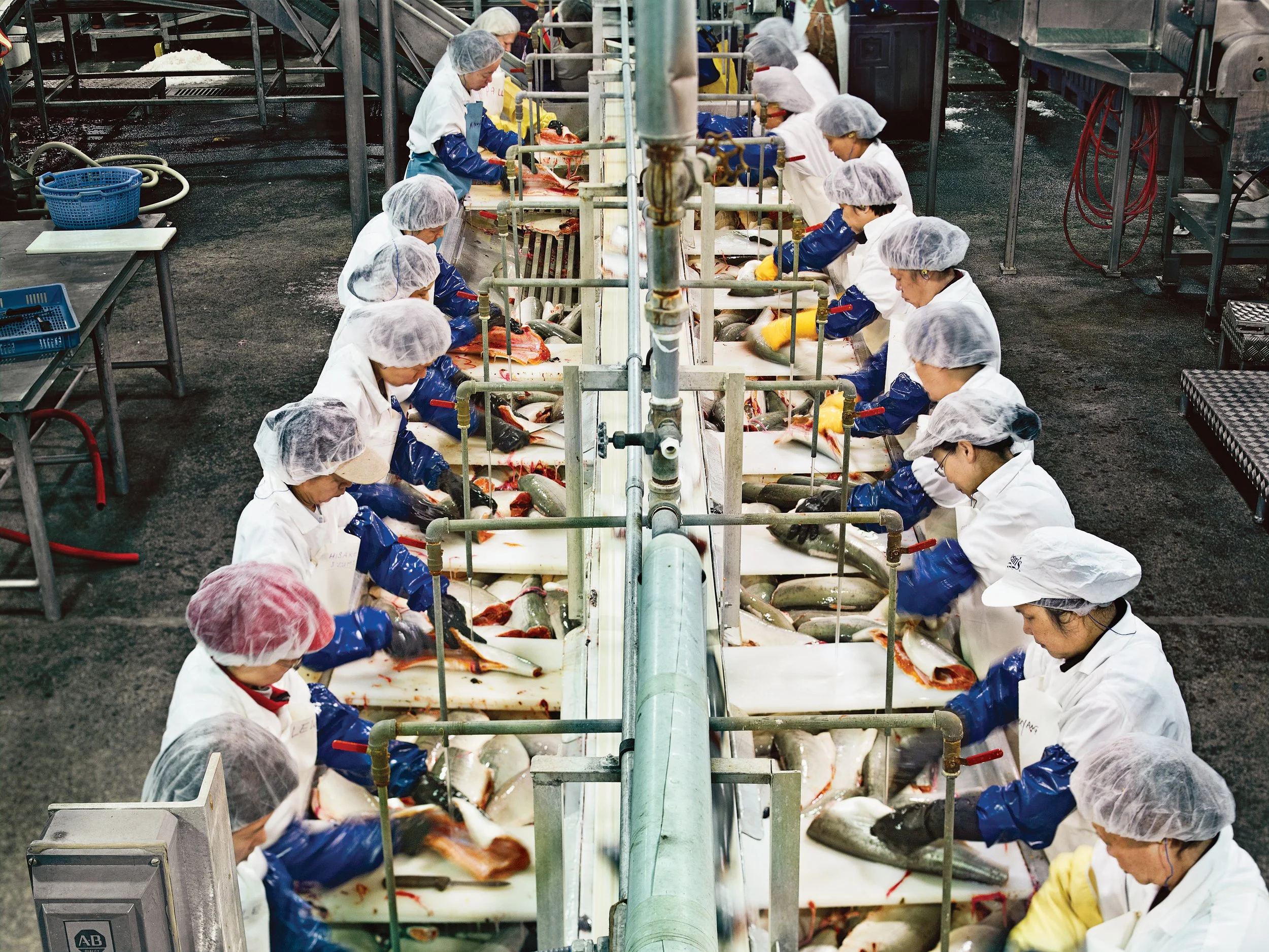 Fish processing plant. Photo: Clinton Hussey for Canadian Business, 2010