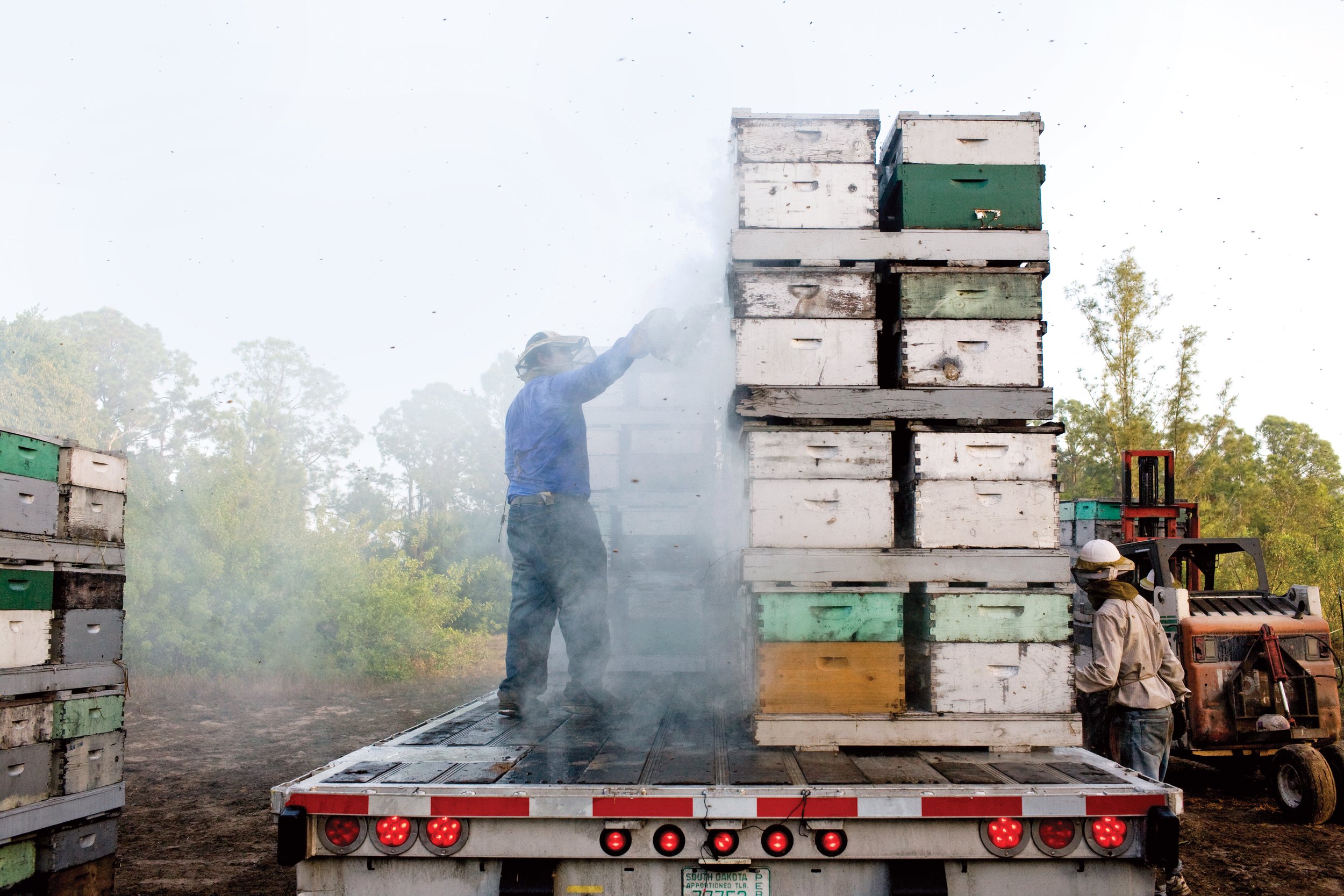 Hackenberg Apiaries. Photo: Kelly Shimoda for Canadian Business, 2010