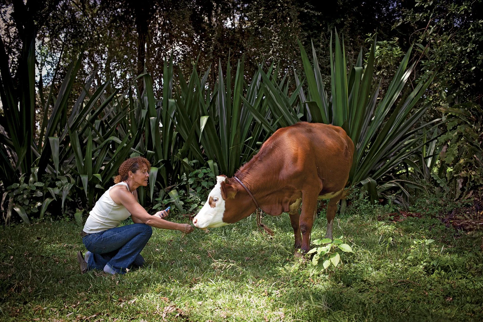 Su Kahumbu, founder if iCow, Kenya. Photo: Nichole Sobecki for Canadian Business, 2013