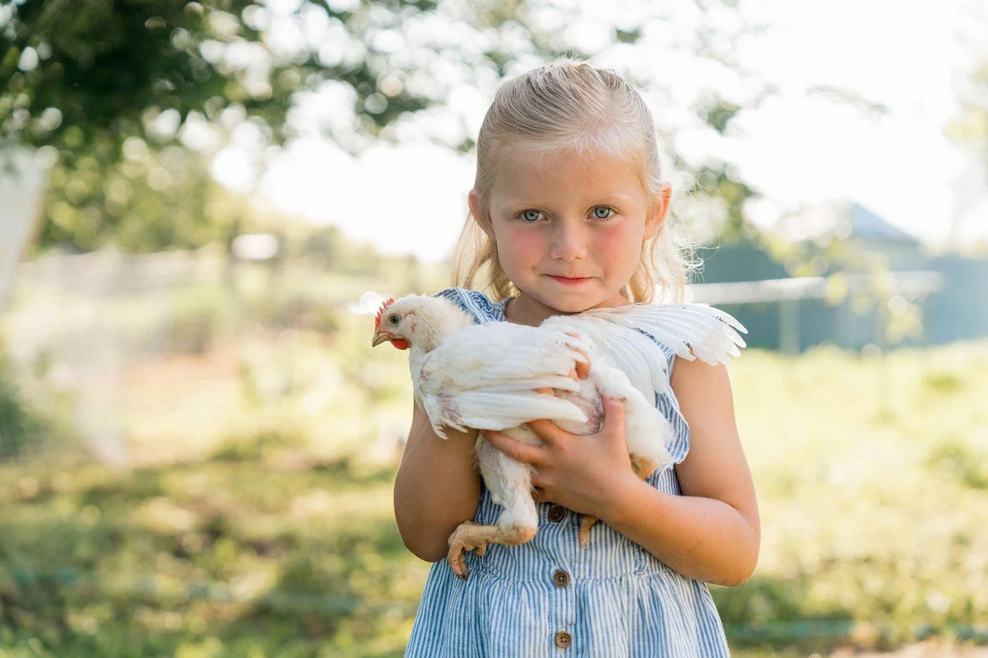 Bees... Goats.... Cute kids... Oh my!

I was so fortunate to take another trip out to @thepasturend to photograph the Baumbach's amazing family farm.  They put so much care in everything they produce, from fresh cut flowers, honey, fresh veg and the 