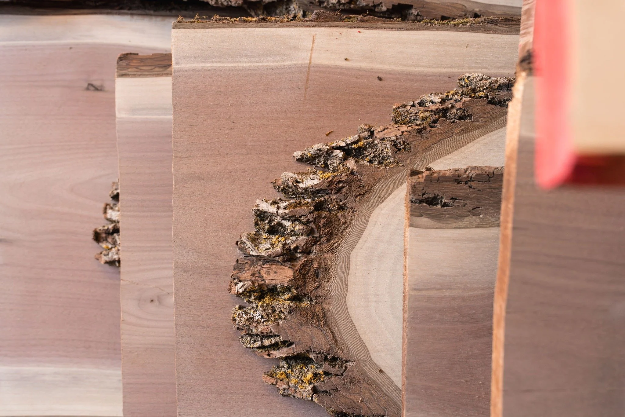 I love it when clients allow me to go on a bit of a photo adventure.

Last December, I headed out to rural Menahga to photograph the operations at Renneberg Hardwoods. 

They needed some updated photos for marketing materials, and it came at just the