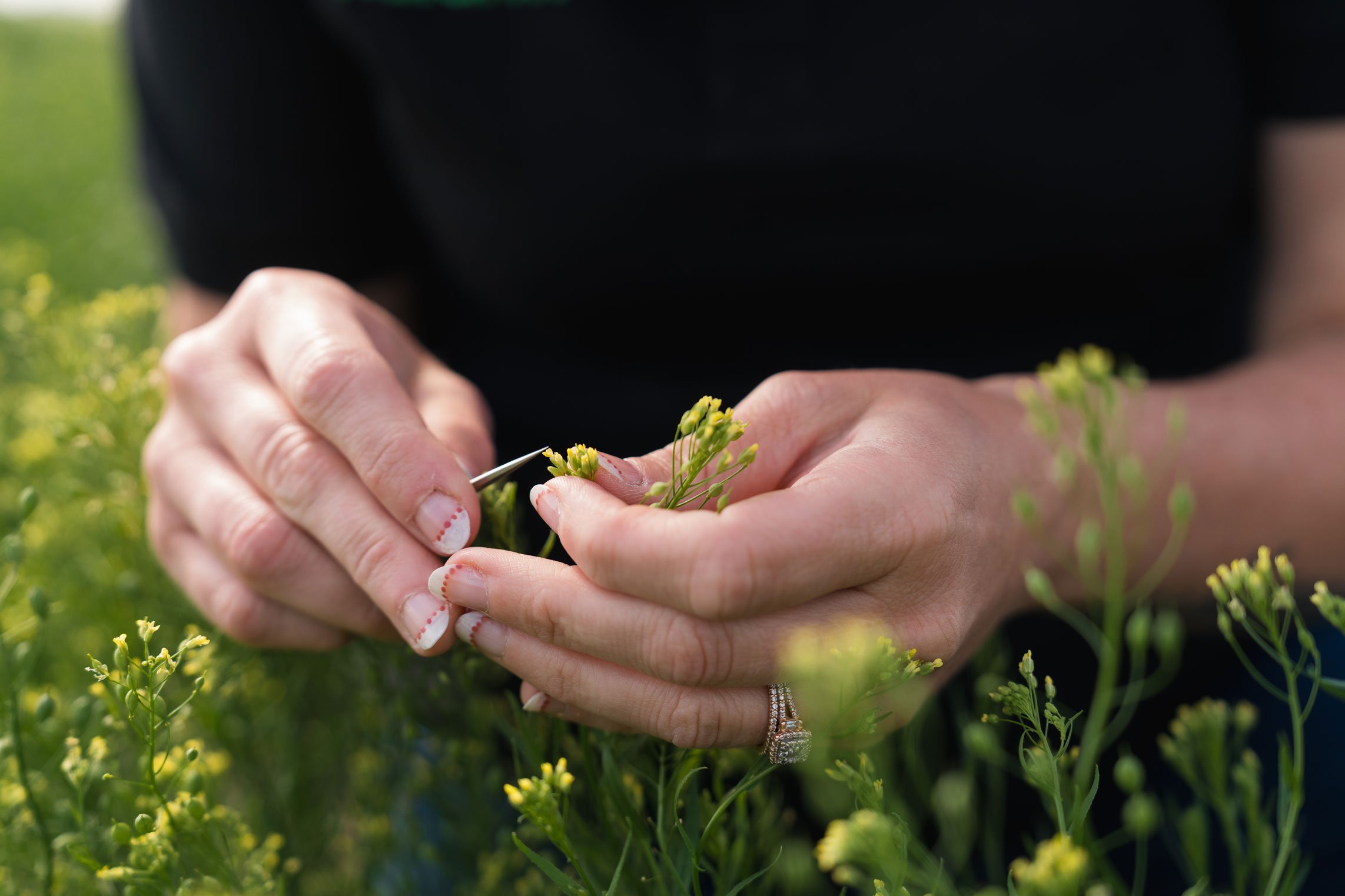 NUFARM-250623-183.jpg