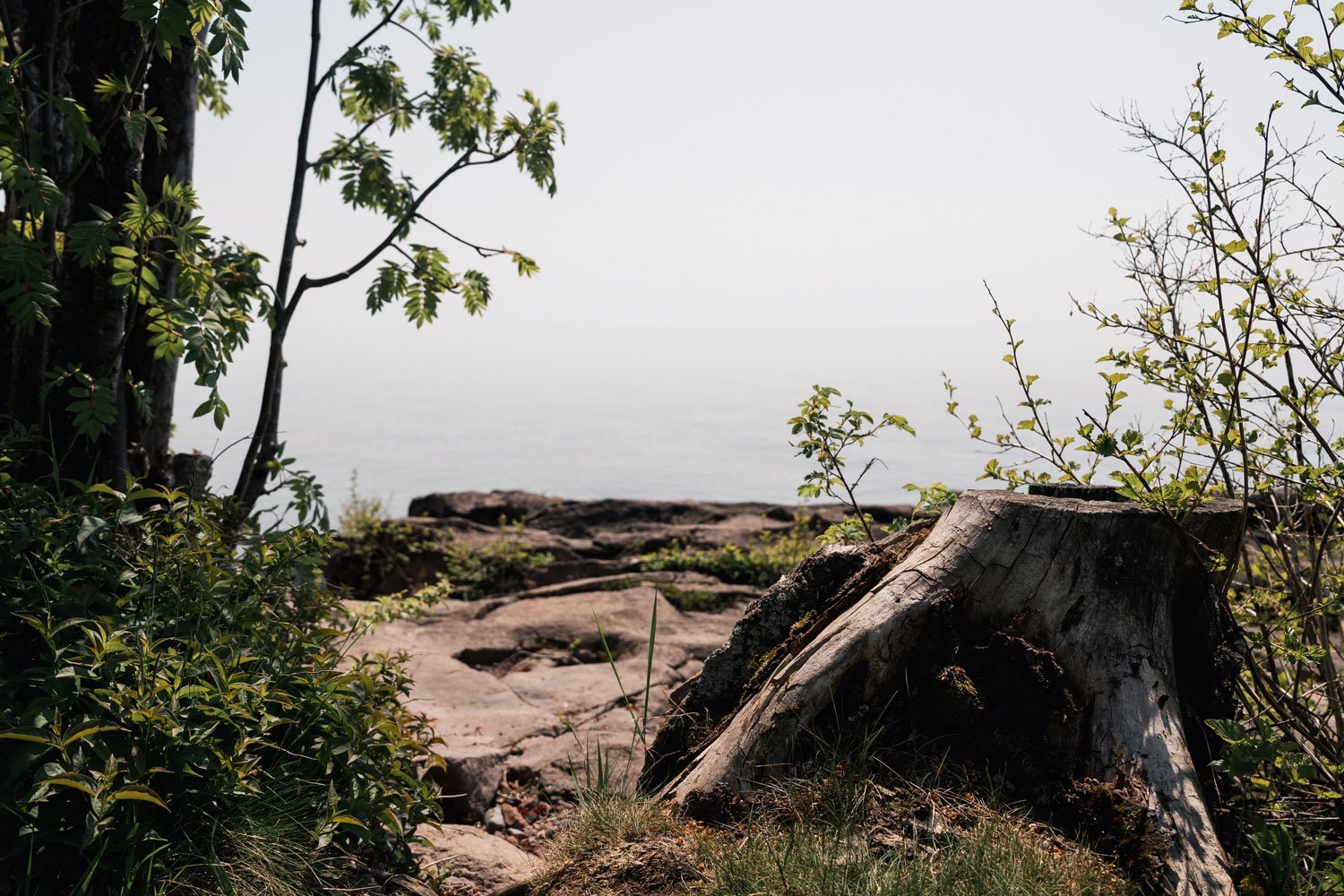 Lutsen-June25-539.jpg