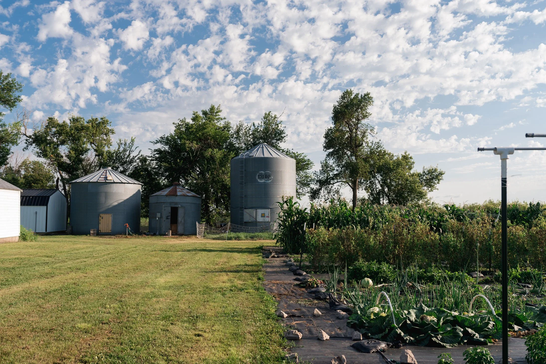 ThePasture-2025-216.jpg