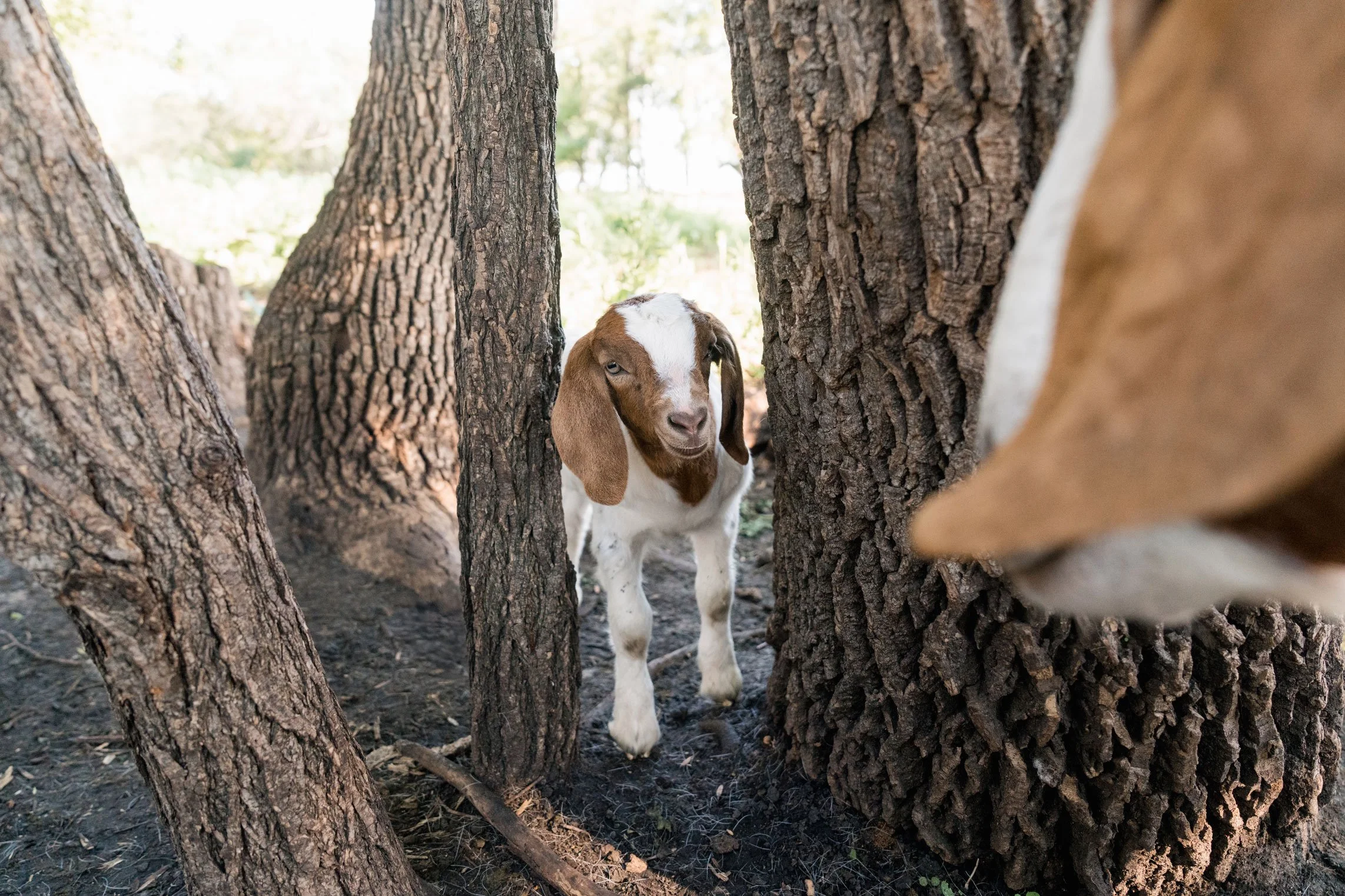 ThePasture-2025-139.jpg