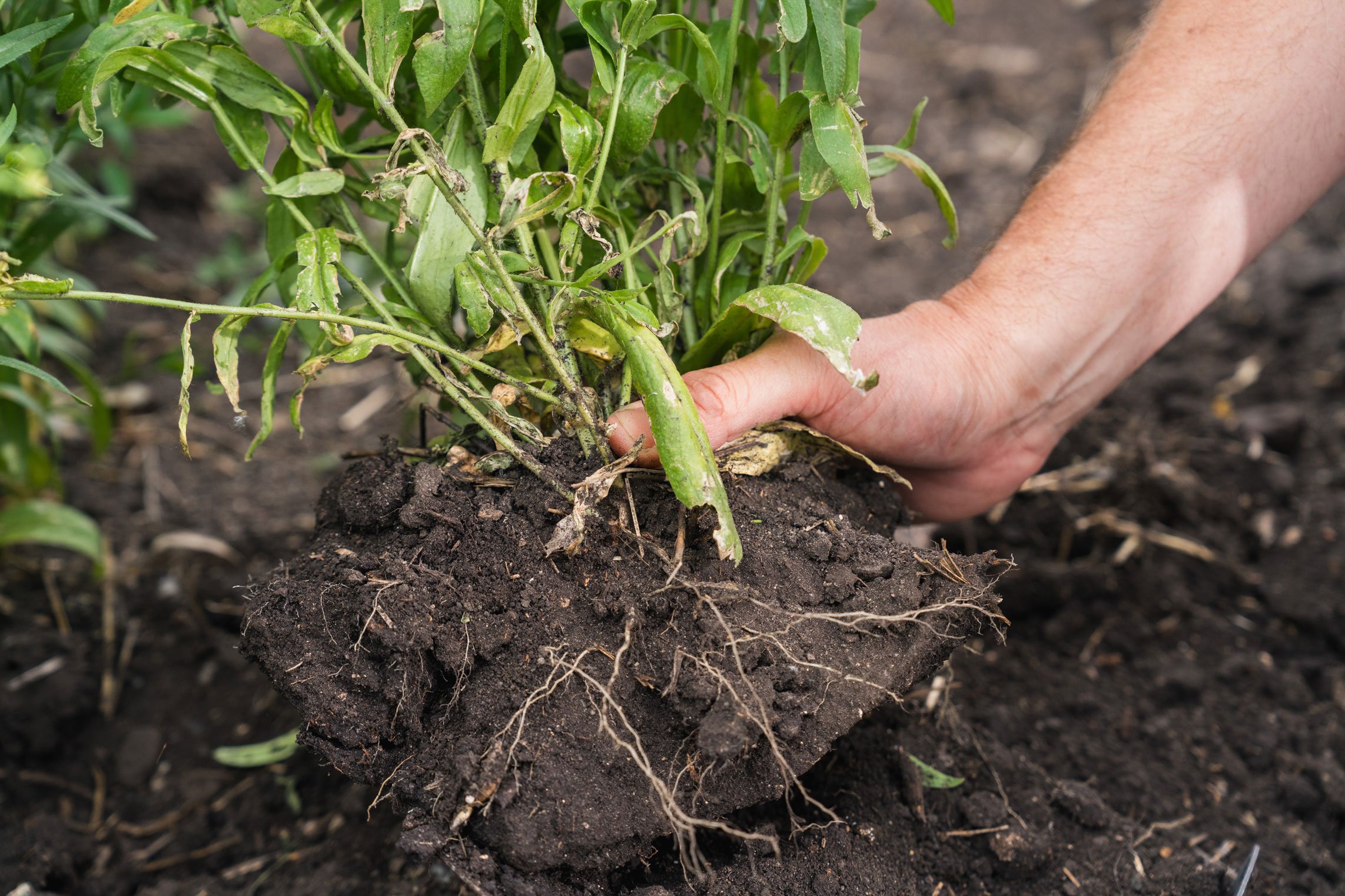 NUFARM-250623-56.jpg