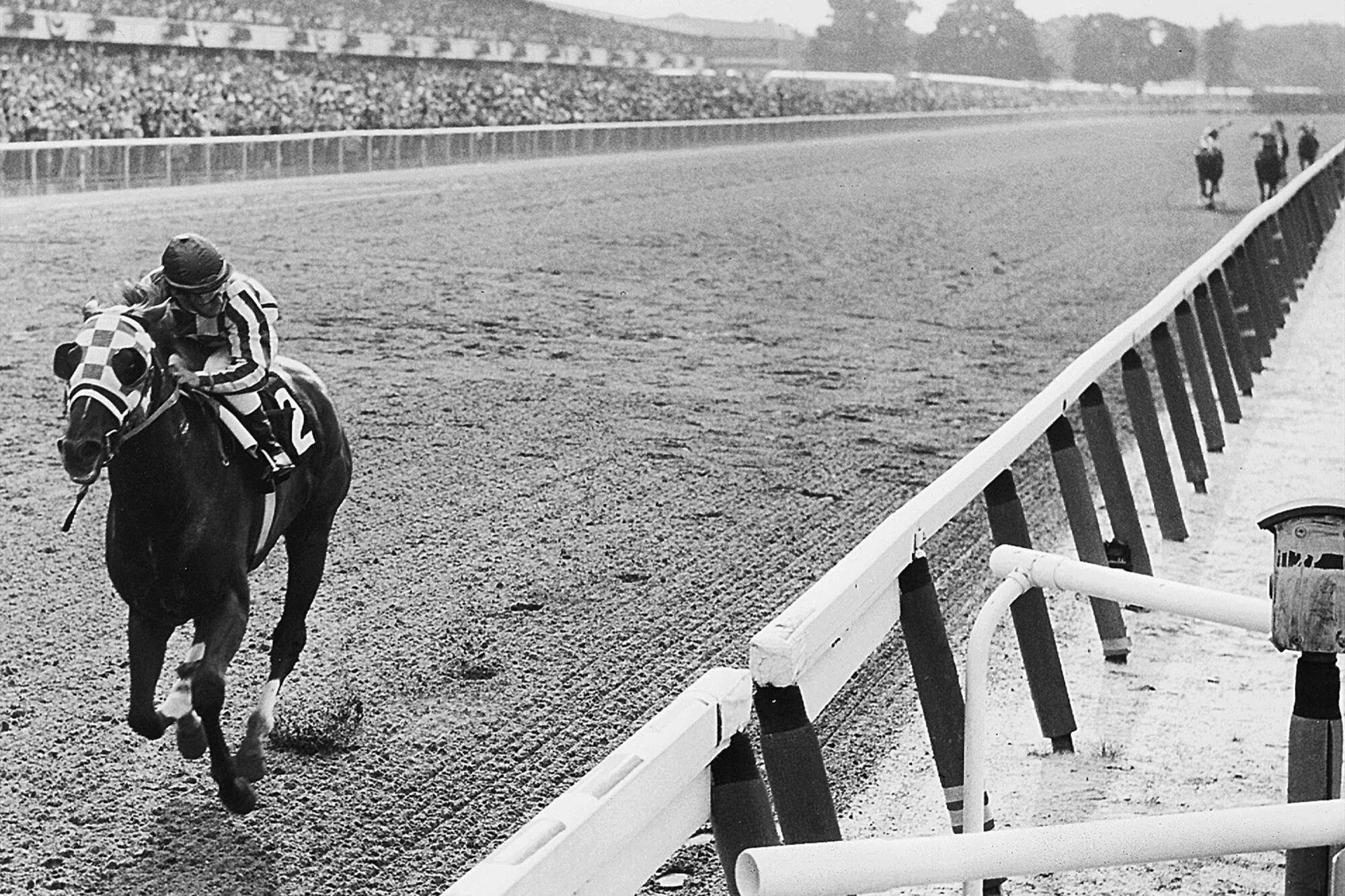 Derby Day at The Ditch