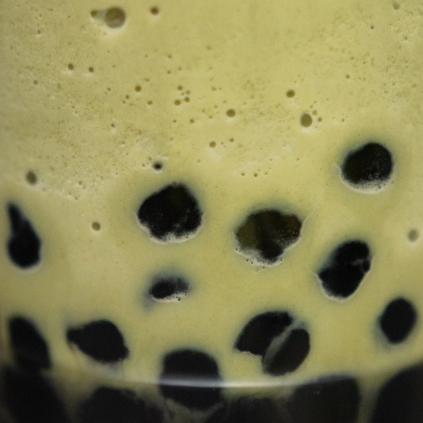 POV: You&rsquo;re my boba drink