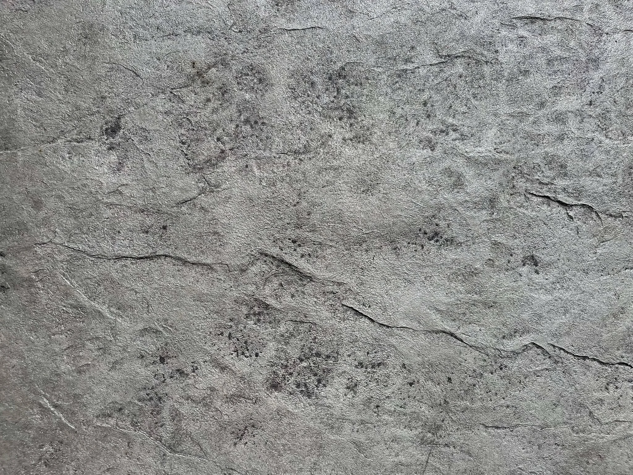 visual-stamped-concrete-design.jpg