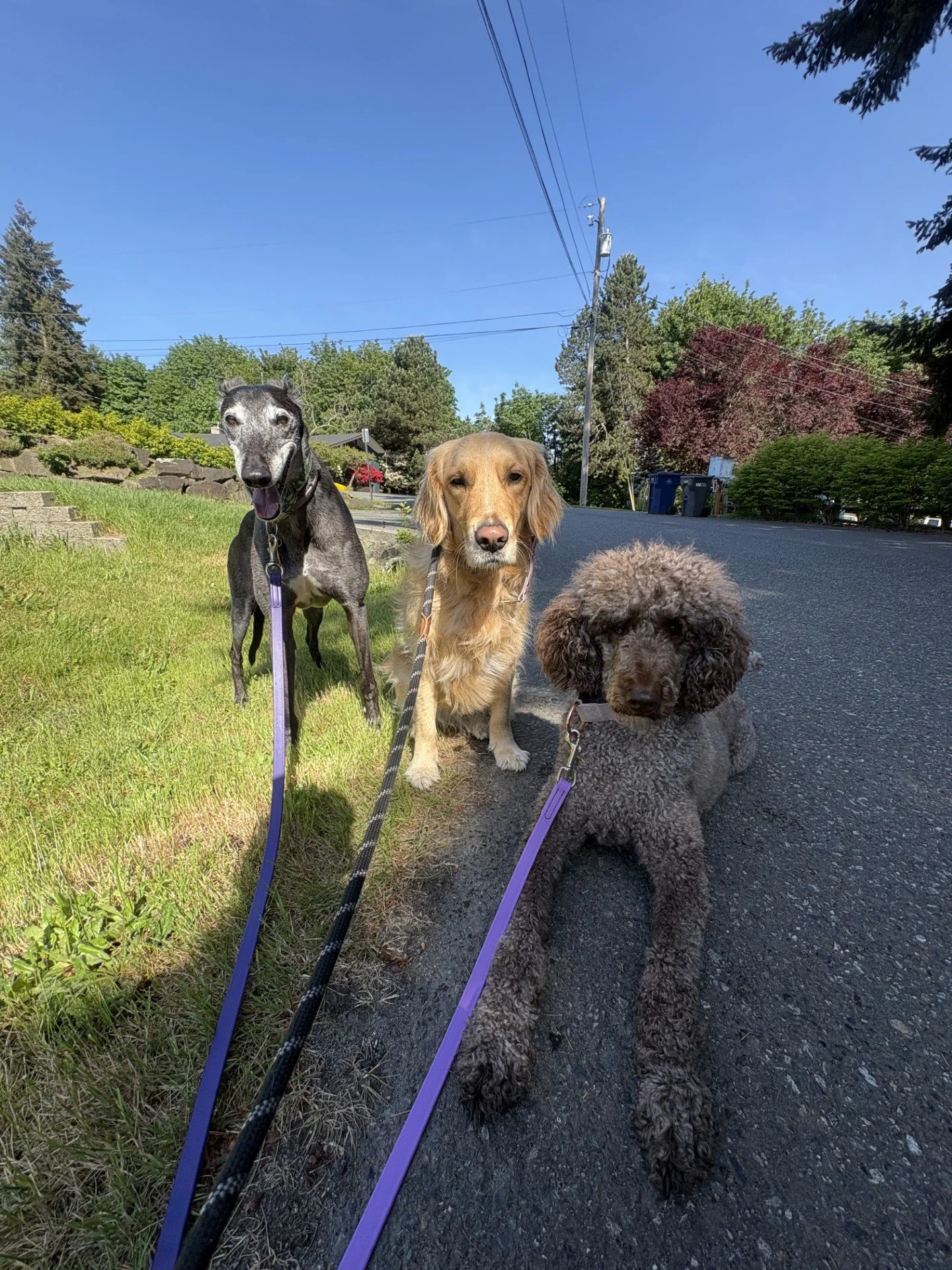 June Trail Pack Walk 