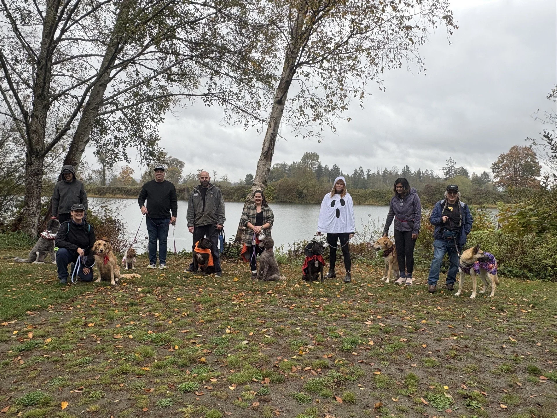 🎃 Halloween Pack Walk