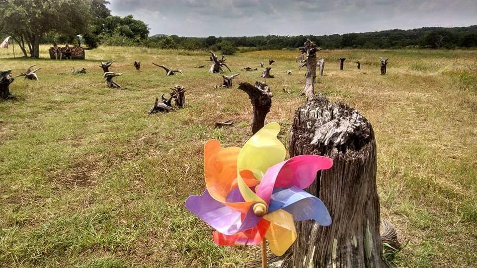Rainbow pinwheel at Texas fairy garden.