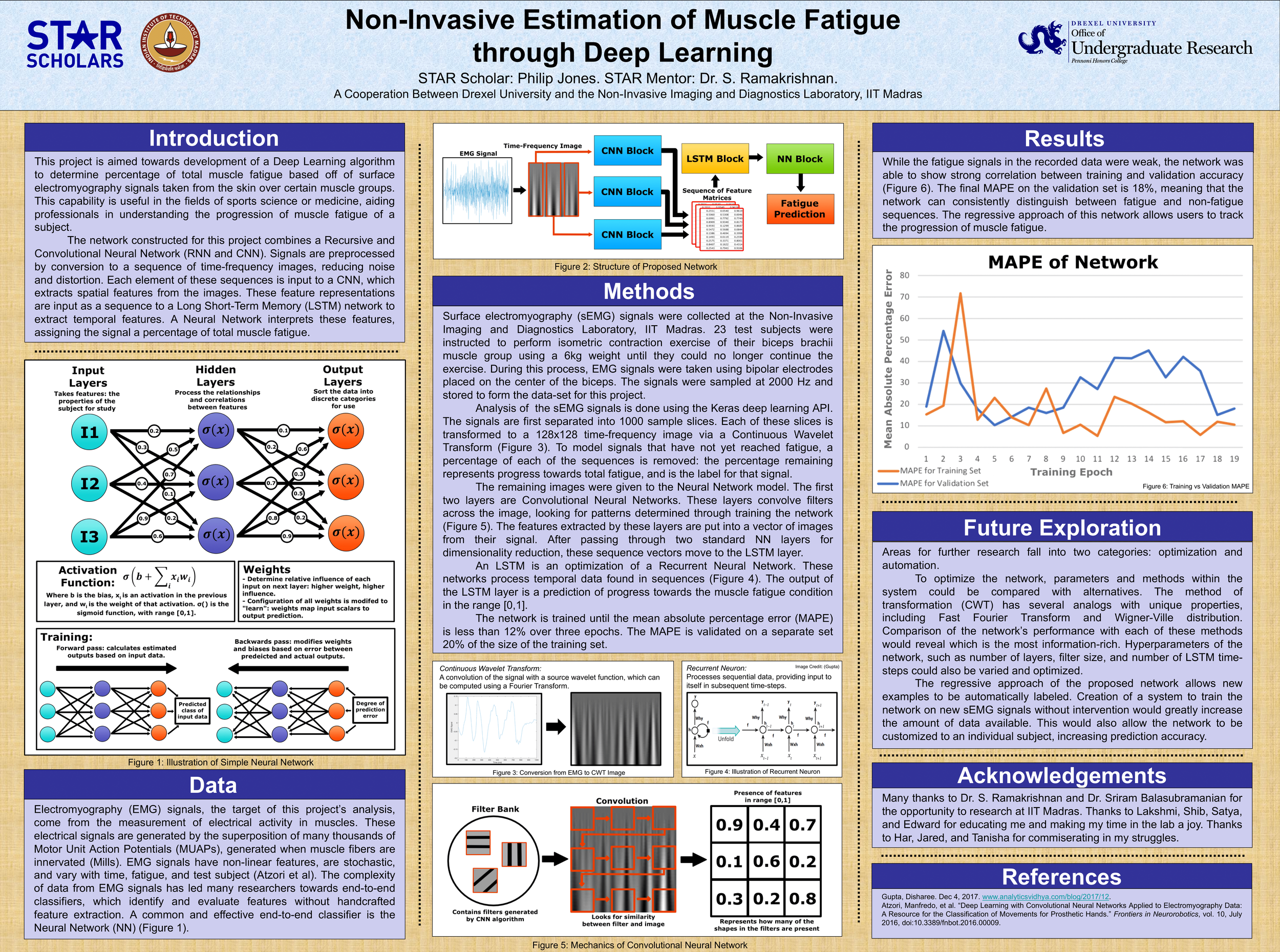 Muscle Fatigue Progression