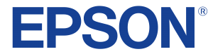 epson-300x77.png