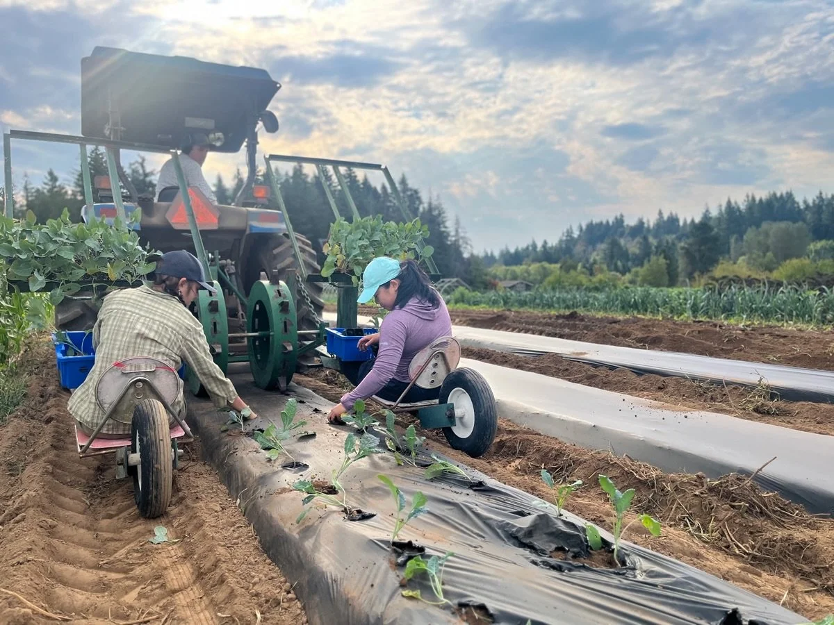 A closer look at the transplant machine!