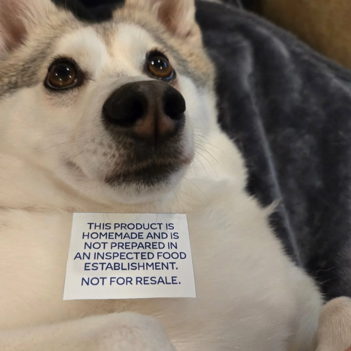 Working on our latest value added product, gotta make sure it meets ODA label requirements