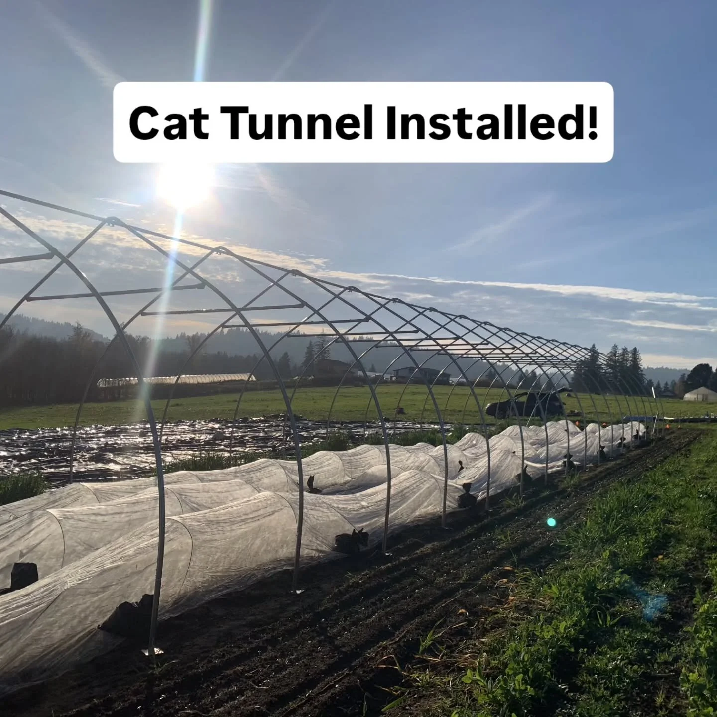 Spent the day installing our first caterpillar tunnel for season extension! Won't put the plastic on until February since we can get extreme winter winds at the site, but now it's ready for when spring arrives. Thanks #emcswd for supporting new farme