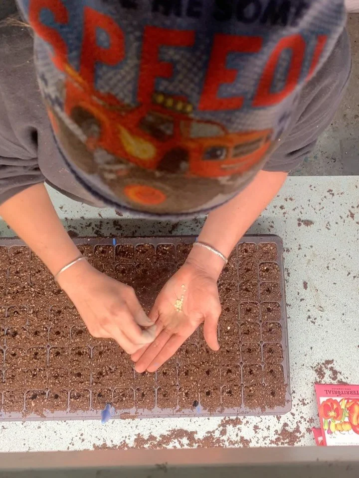 Planted 2,788 seeds today! This is real-time footage of Lucy seeding lighting fast. Plus a seed quiz! How many of these do you recognize? Answers at the end&hellip;