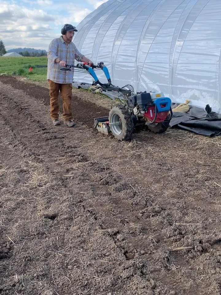 February, thanks for the fake-out! Thanks to the dry spell we were able to get the cat tunnel covered AND bust out the BCS to start a few beds. The brassicas and hascaps were pretty happy about it too :)