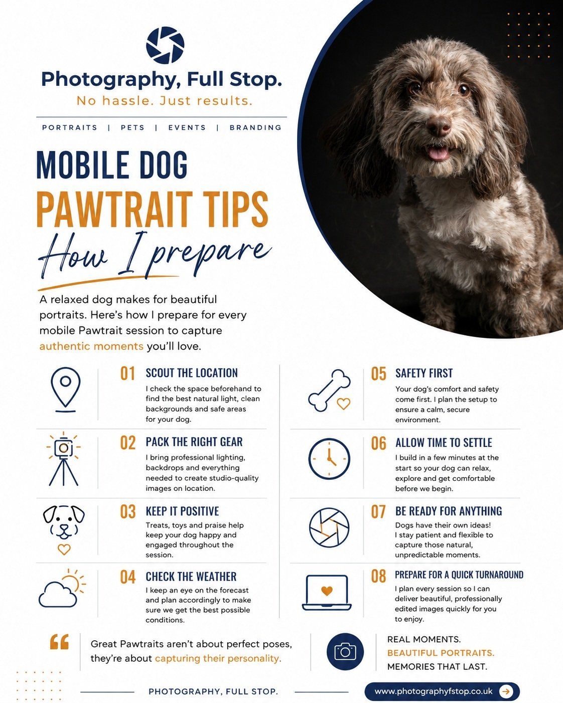 #Dogphotography #pet #petphotographer #photographer #photographybusiness
