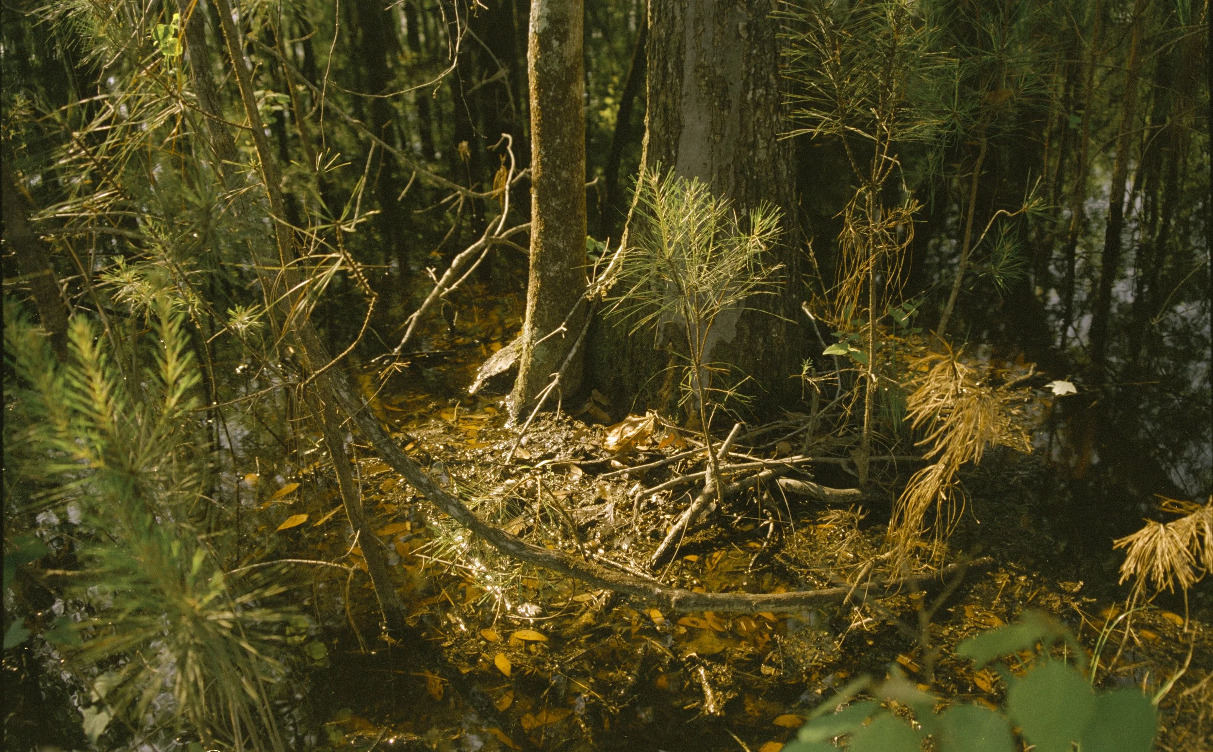 instagram post-2.jpg