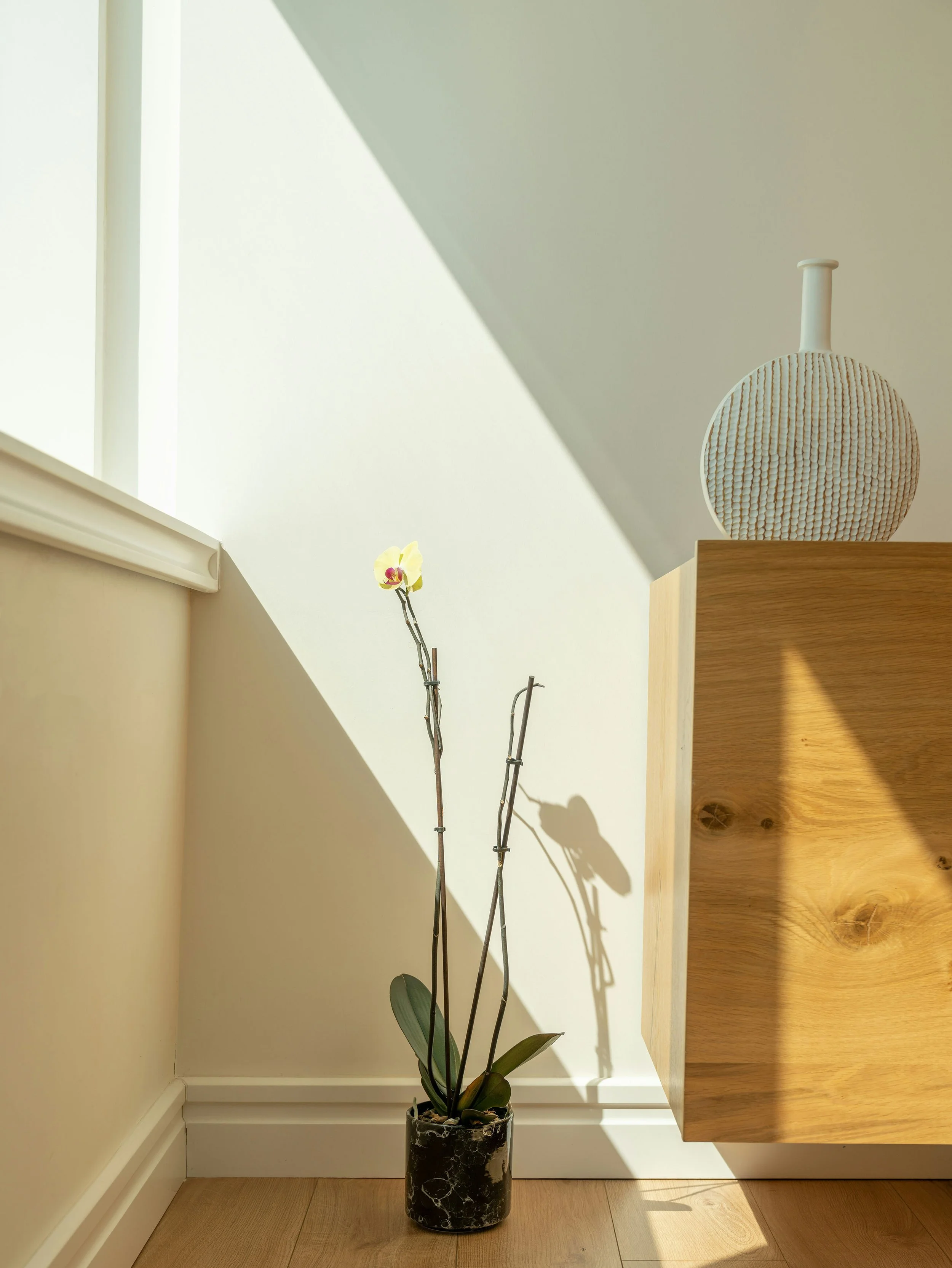 Materials, Systems, and Health