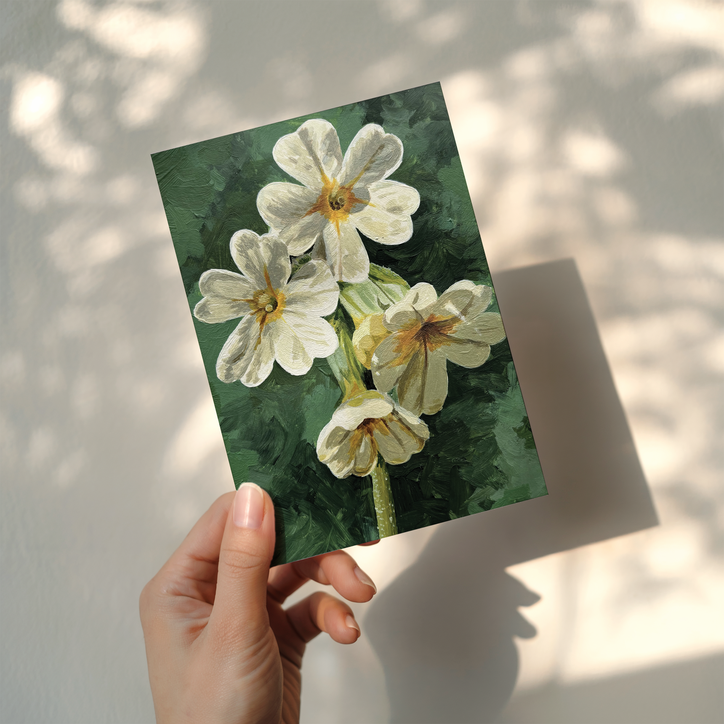 Greeting Cards 5 Pack | Florals