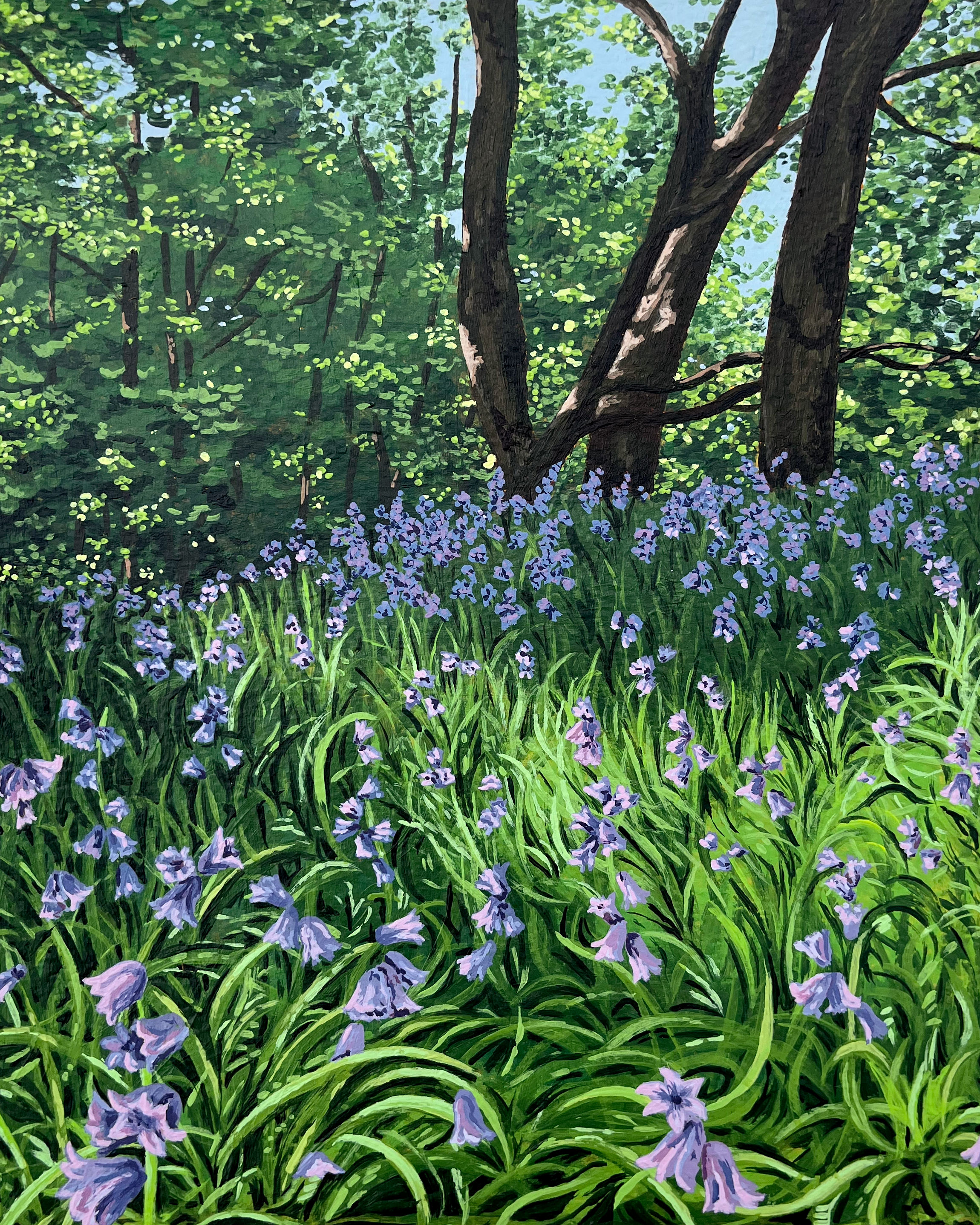 Bluebells 5.png (Copy)