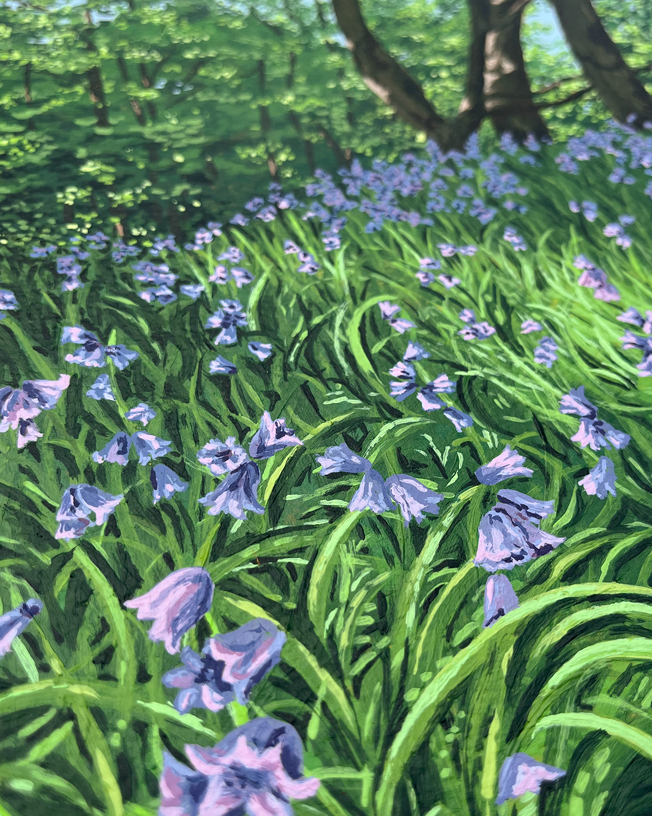 Bluebells 3.png (Copy)