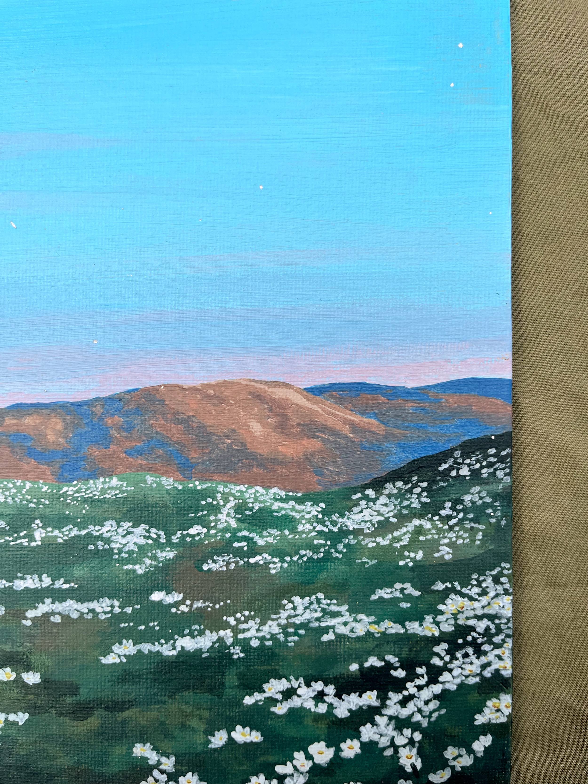 Ochil Daisies 3.png (Copy)