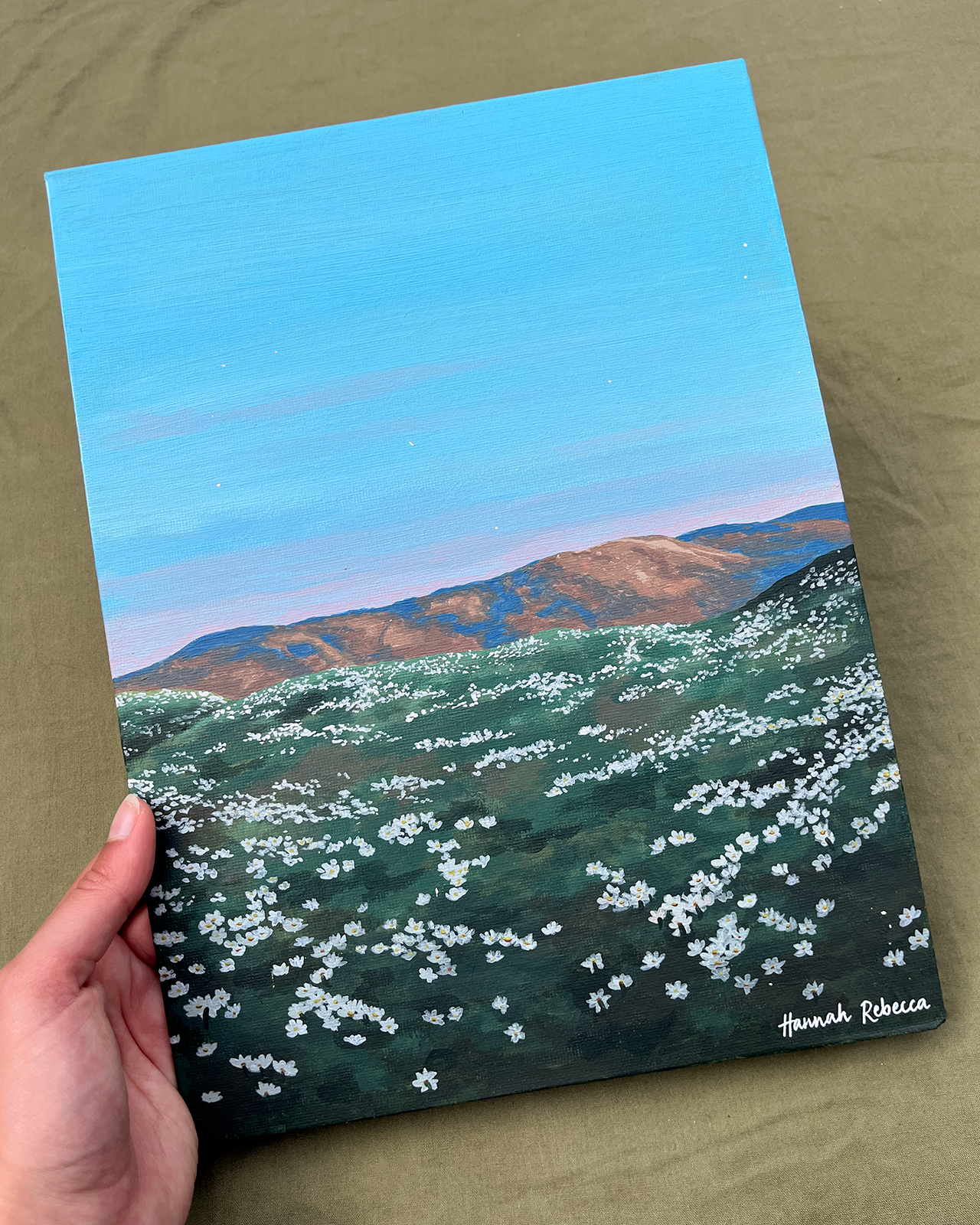 Ochil Daisies 2.png (Copy)