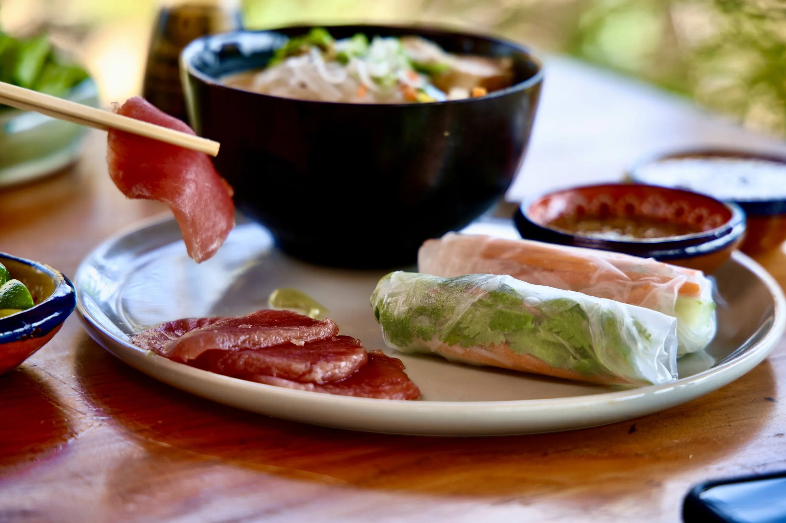 spring rolls & sashimi.jpeg