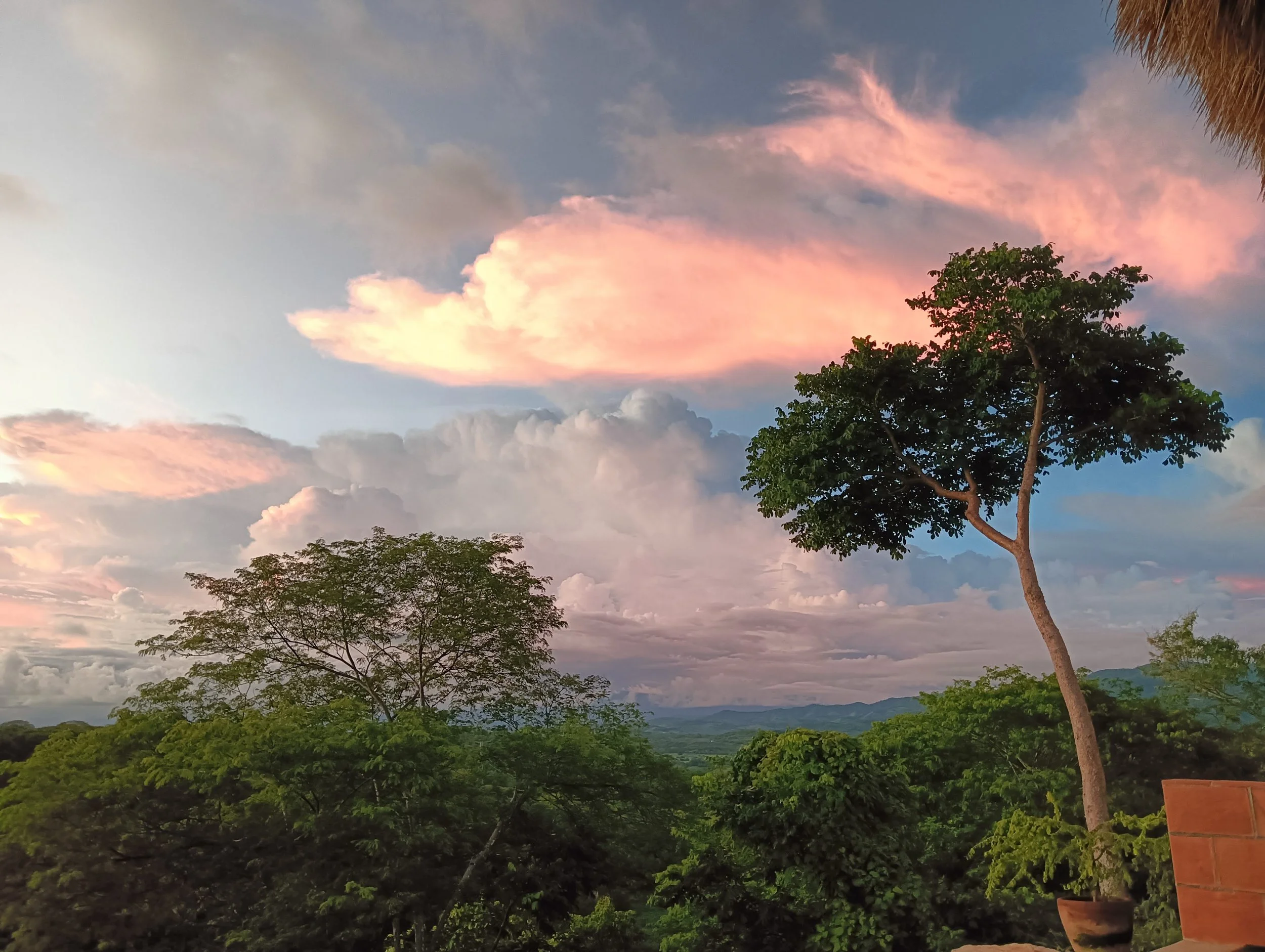 sky clouds CC from pool.jpg