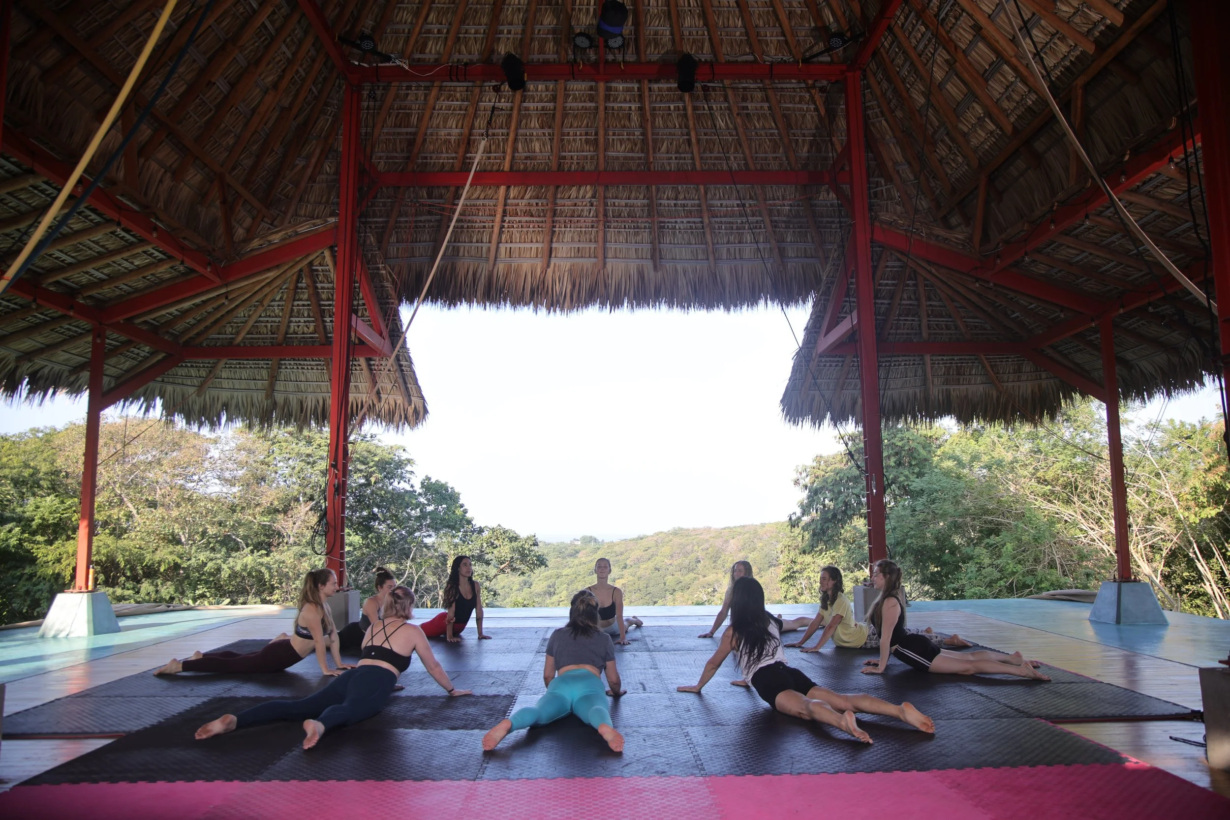 gym cobra stretch circle.jpeg