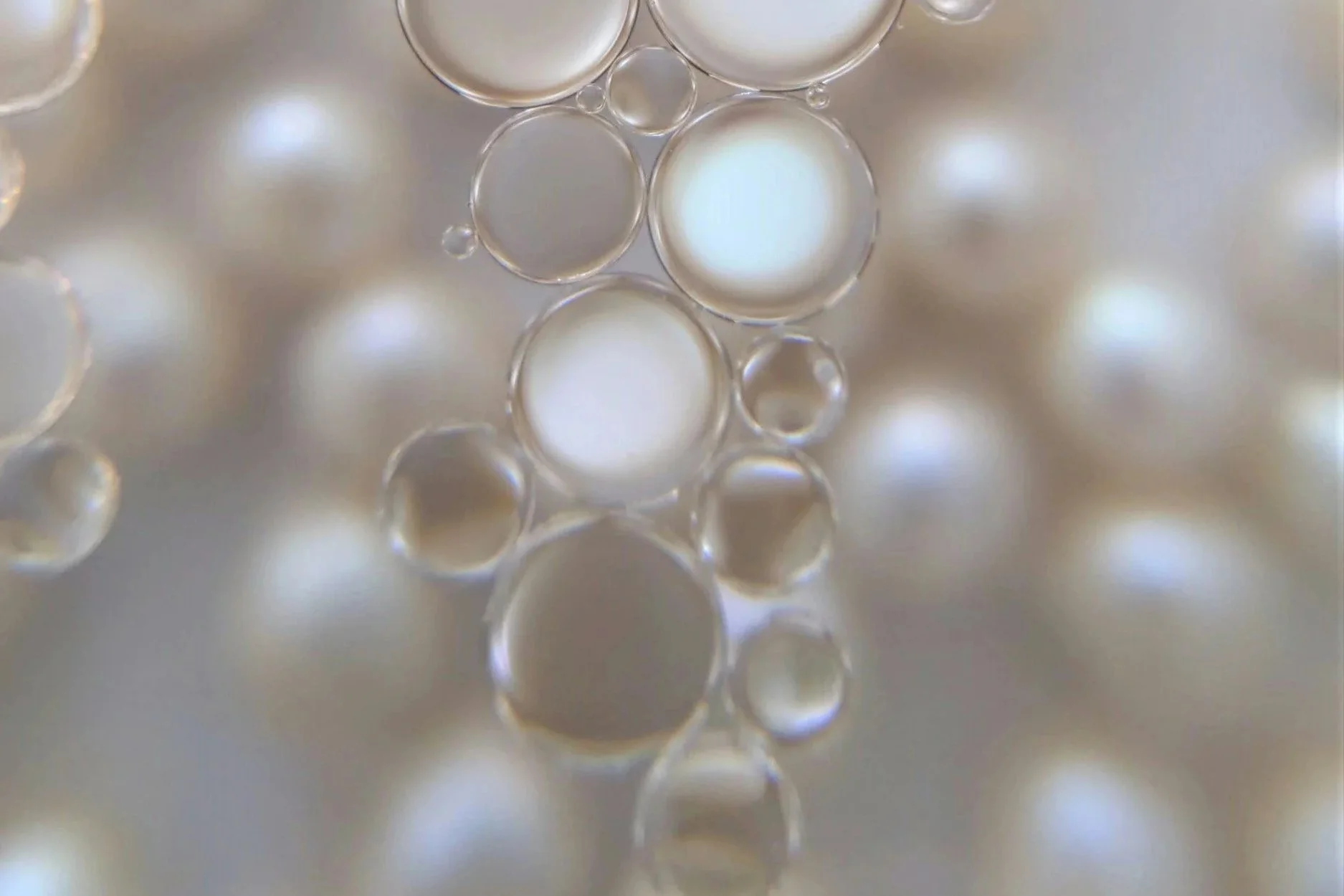 PEARL POWDER