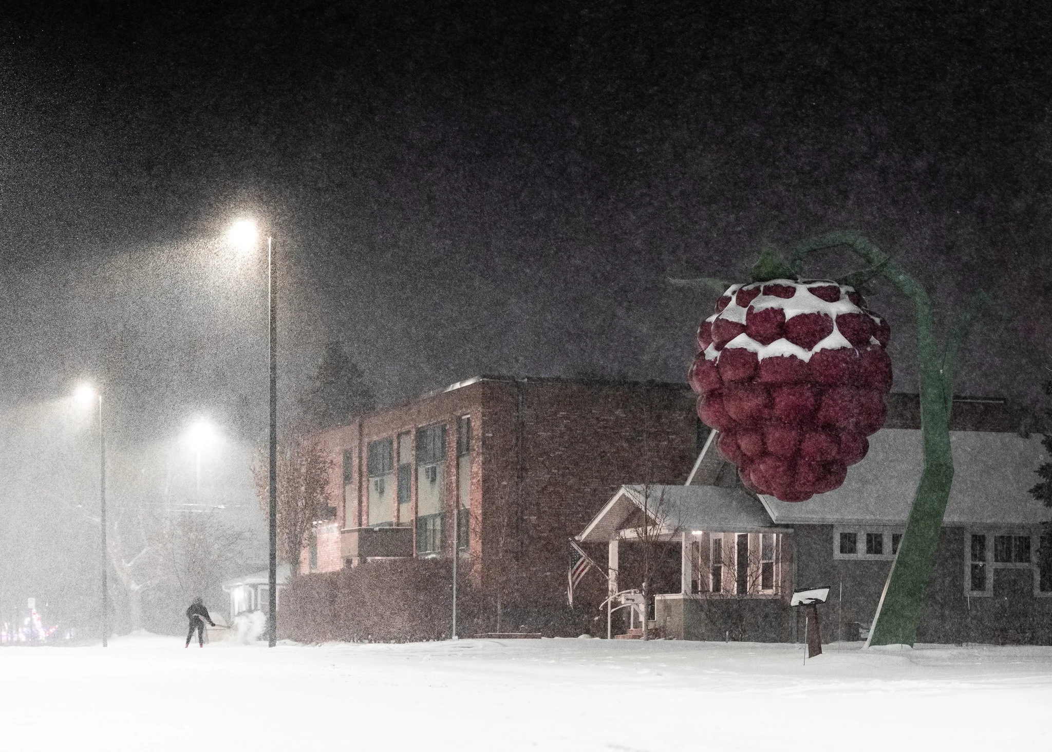 DSC01602- Tiny Tim & Giant Raspberry.jpg