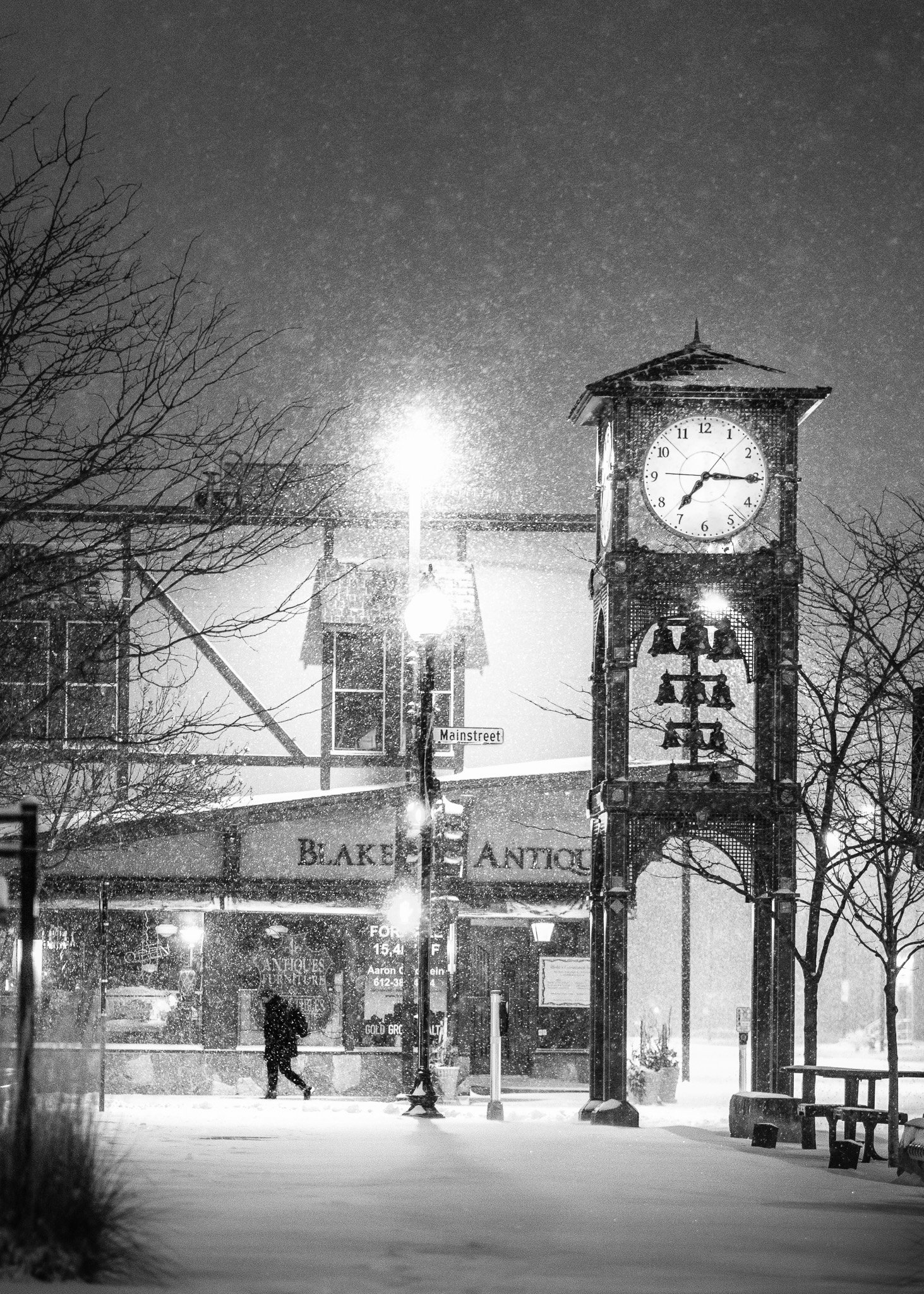 DSC08554 - Blakes snowstorm.jpg