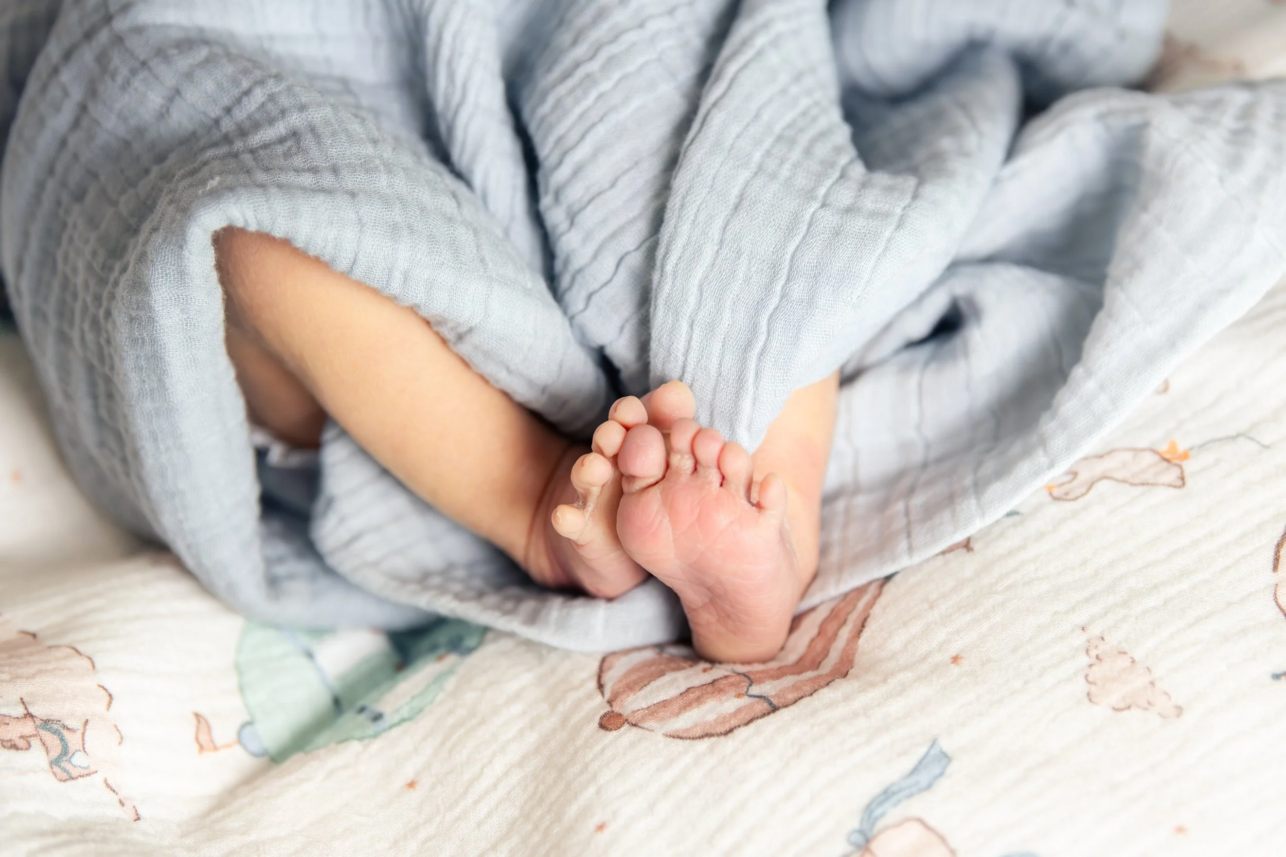 Baby%20Baker%202026-18.jpg