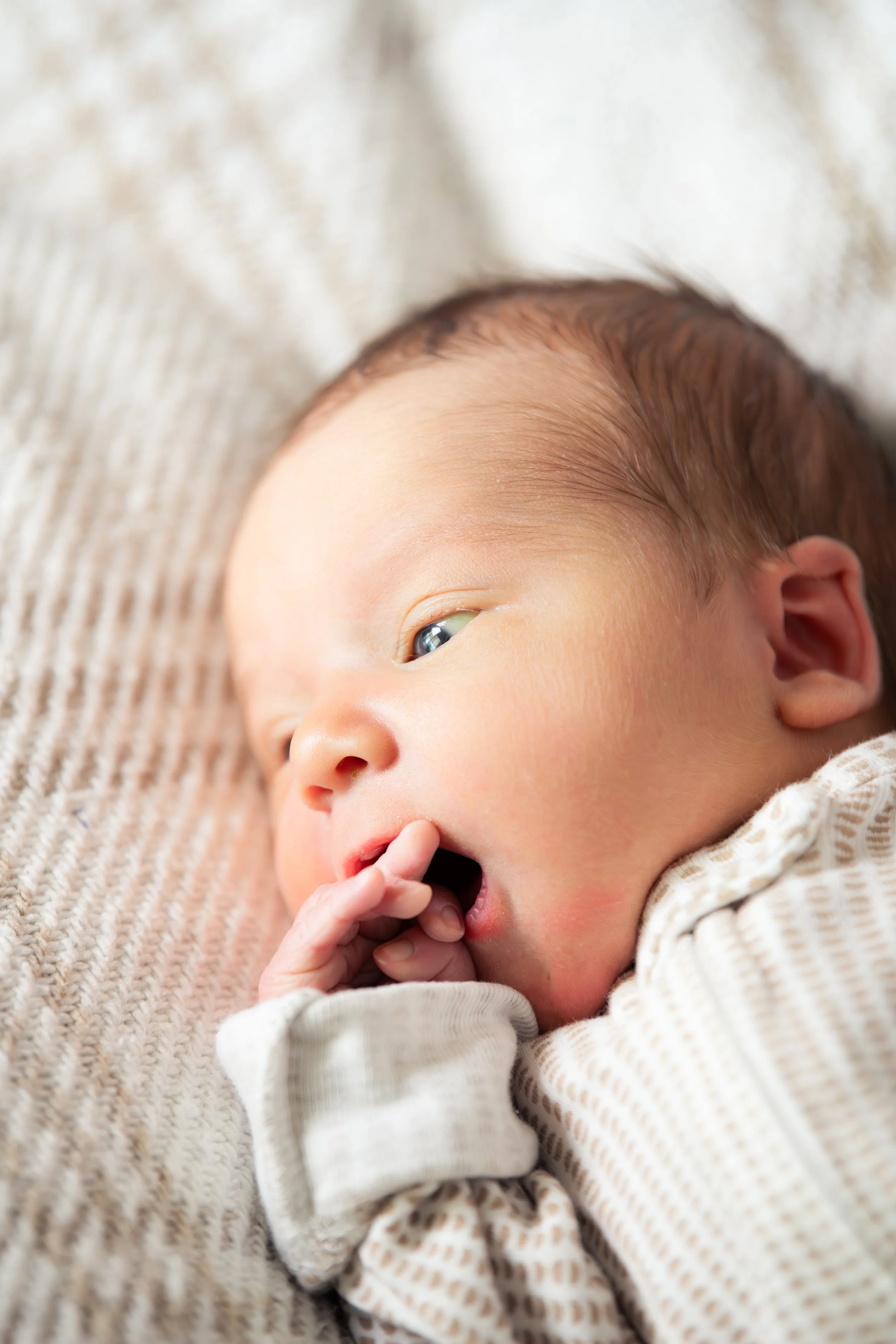 Baby%20Baker%202026-10.jpg