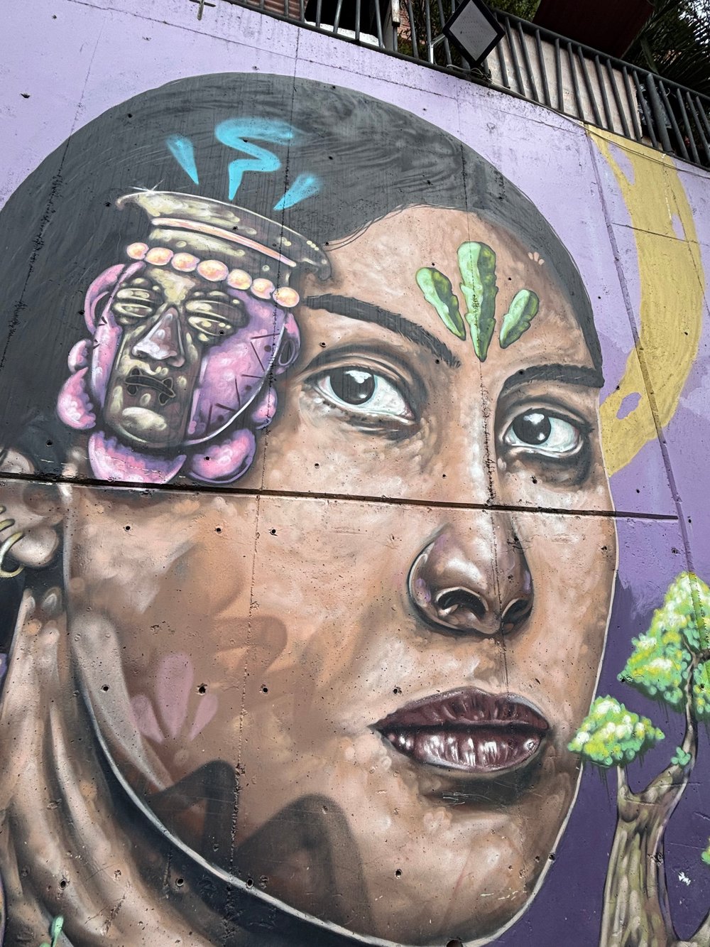 medellin comuna 13 native.jpg