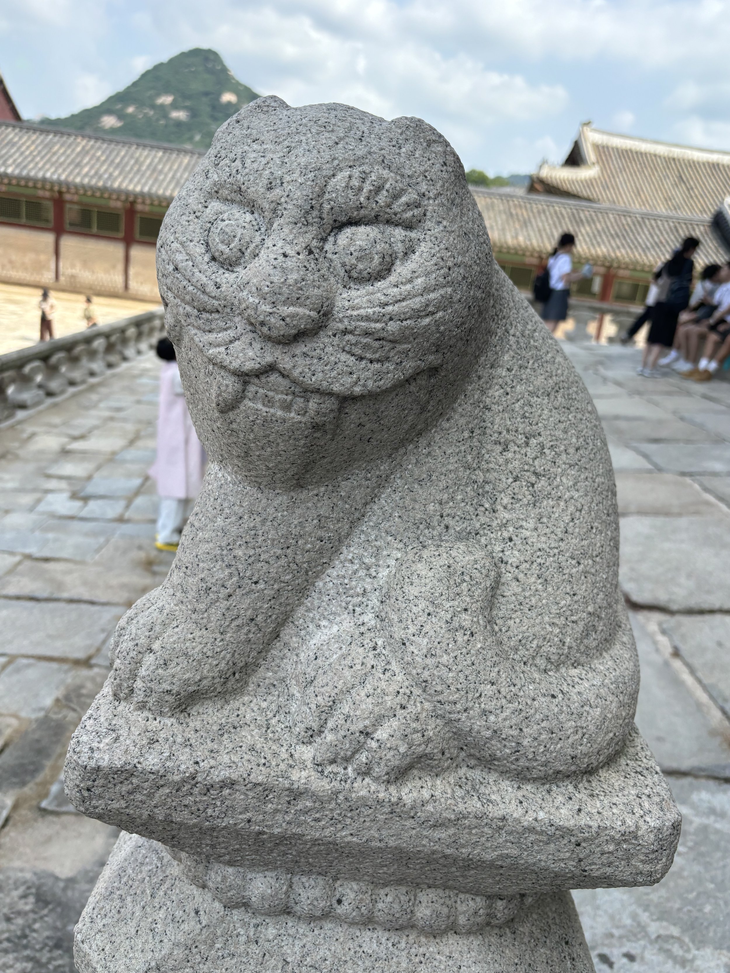 IMG_0832.jpeg